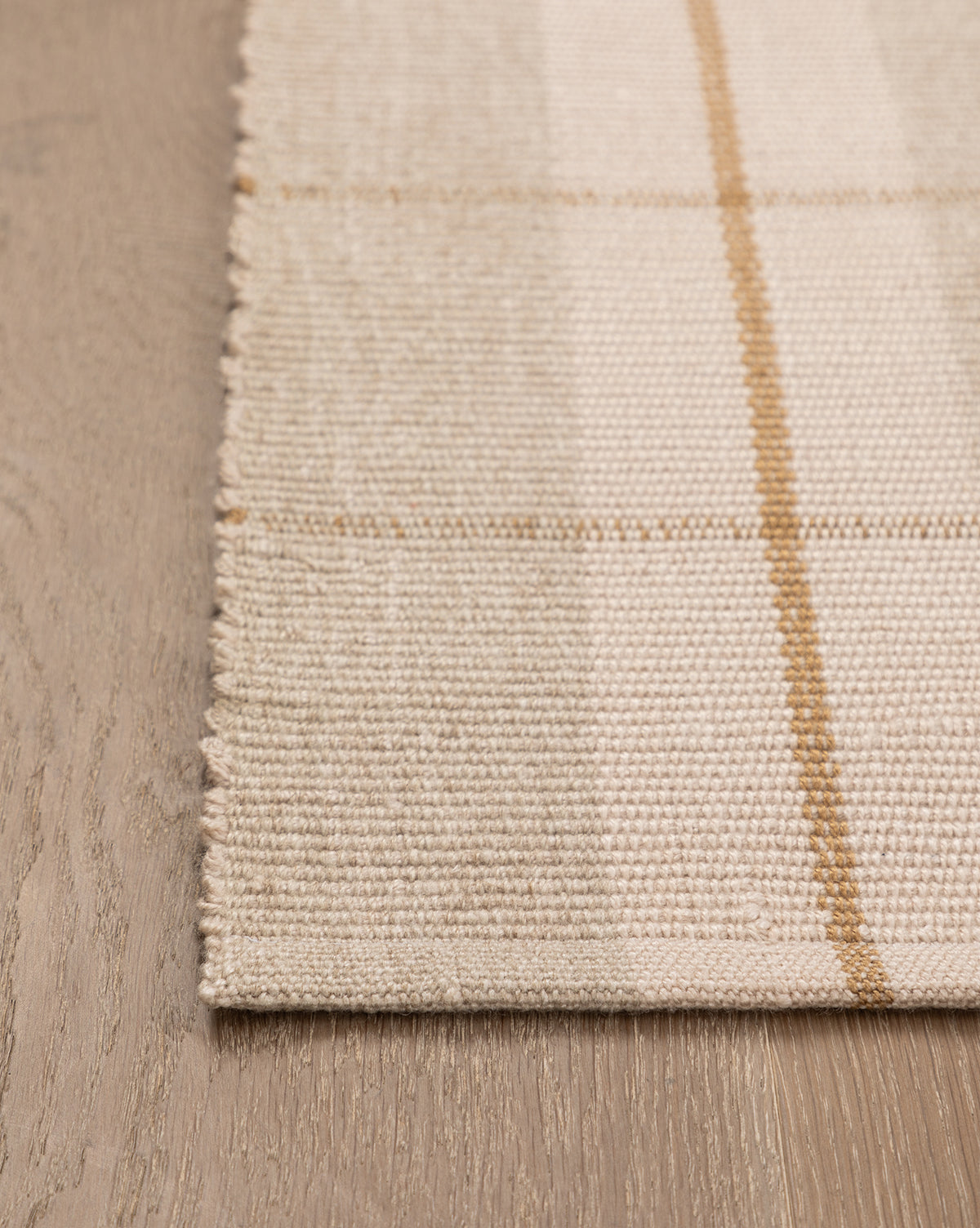 Hanlon Handwoven Indoor/Outdoor Rug