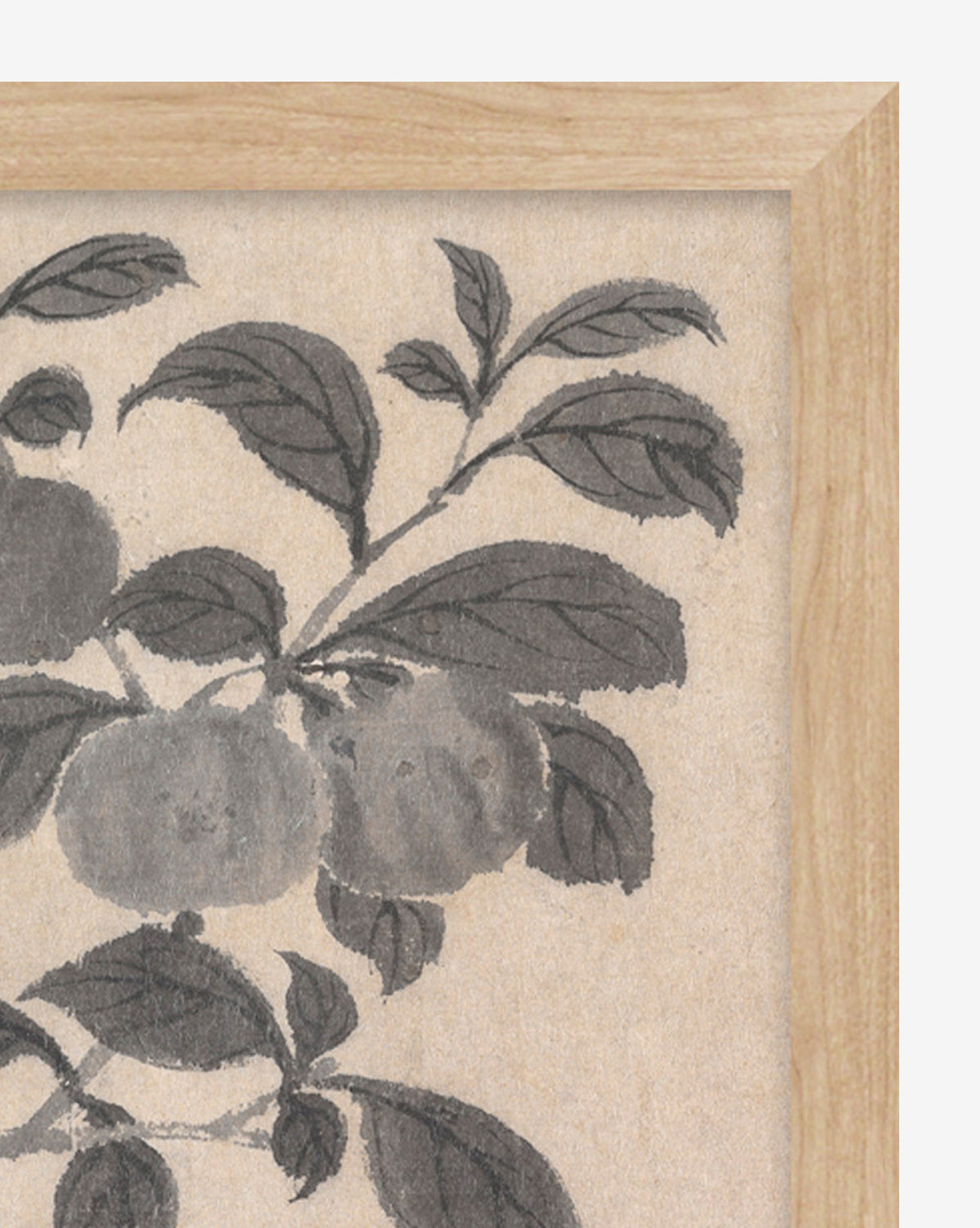 Inked Branches I features an ink painting of fruit and leaves on textured paper in a natural wood frame. Three round fruits and grayscale branches are shown. Only a portion of the giclee print on canvas is visible.