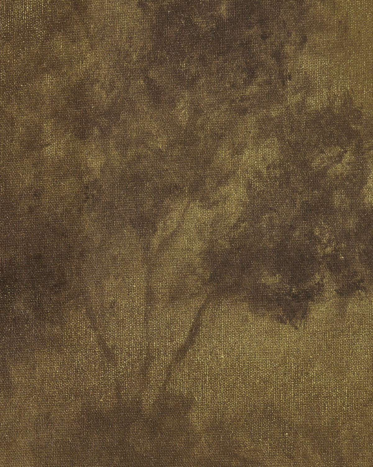 Intertwined by Aileen Fitzgerald features a sepia-toned tree with leafy branches on a textured background, evoking Texas hillside art. Its aged, painterly style makes it ideal as matte canvas wall decor.