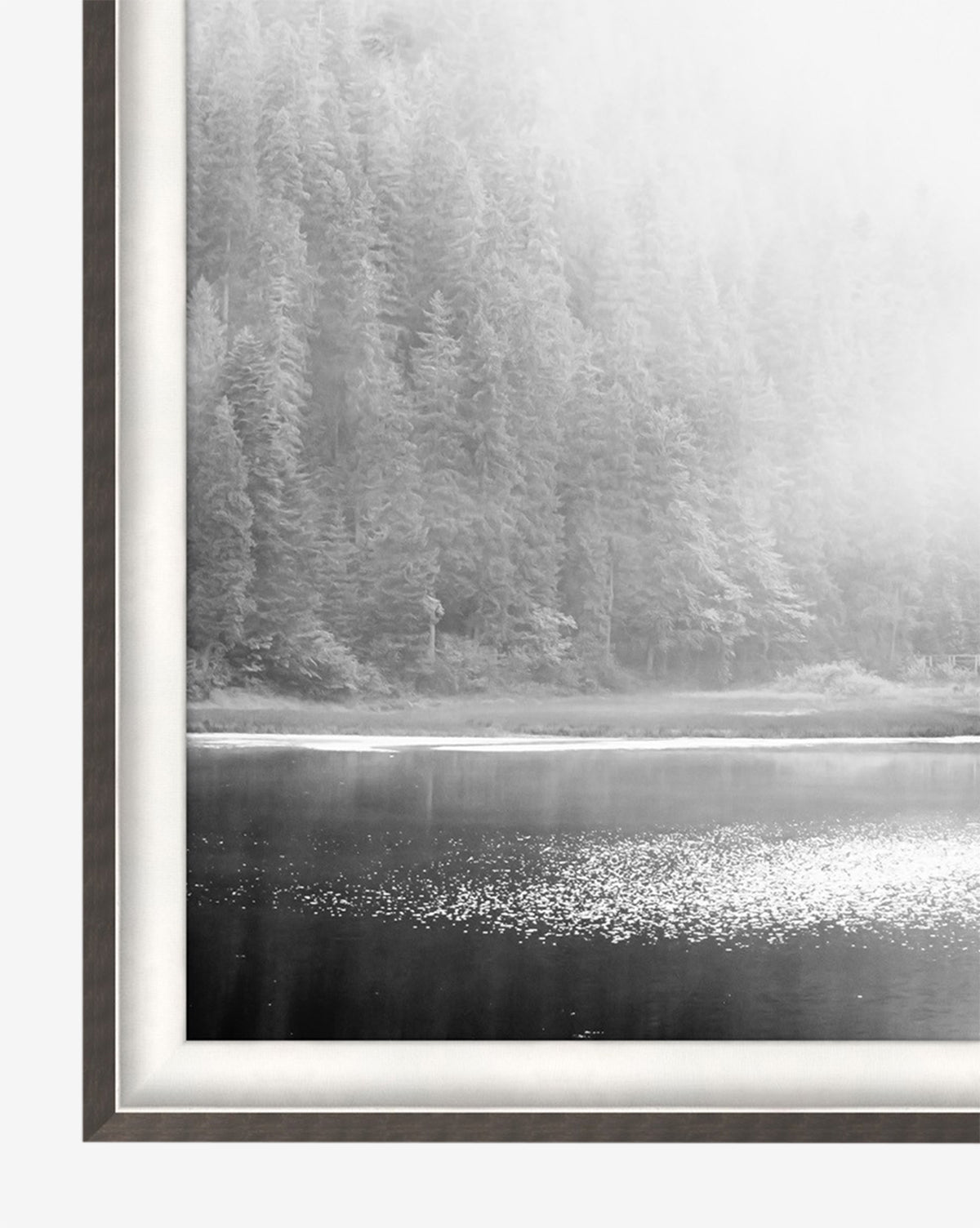 Lakeside is a black and white wall art giclee print showcasing a misty forest and tall trees by a calm lake. Sunlight shimmers on the water, and the elegant metallic frame adds sophistication to any space.