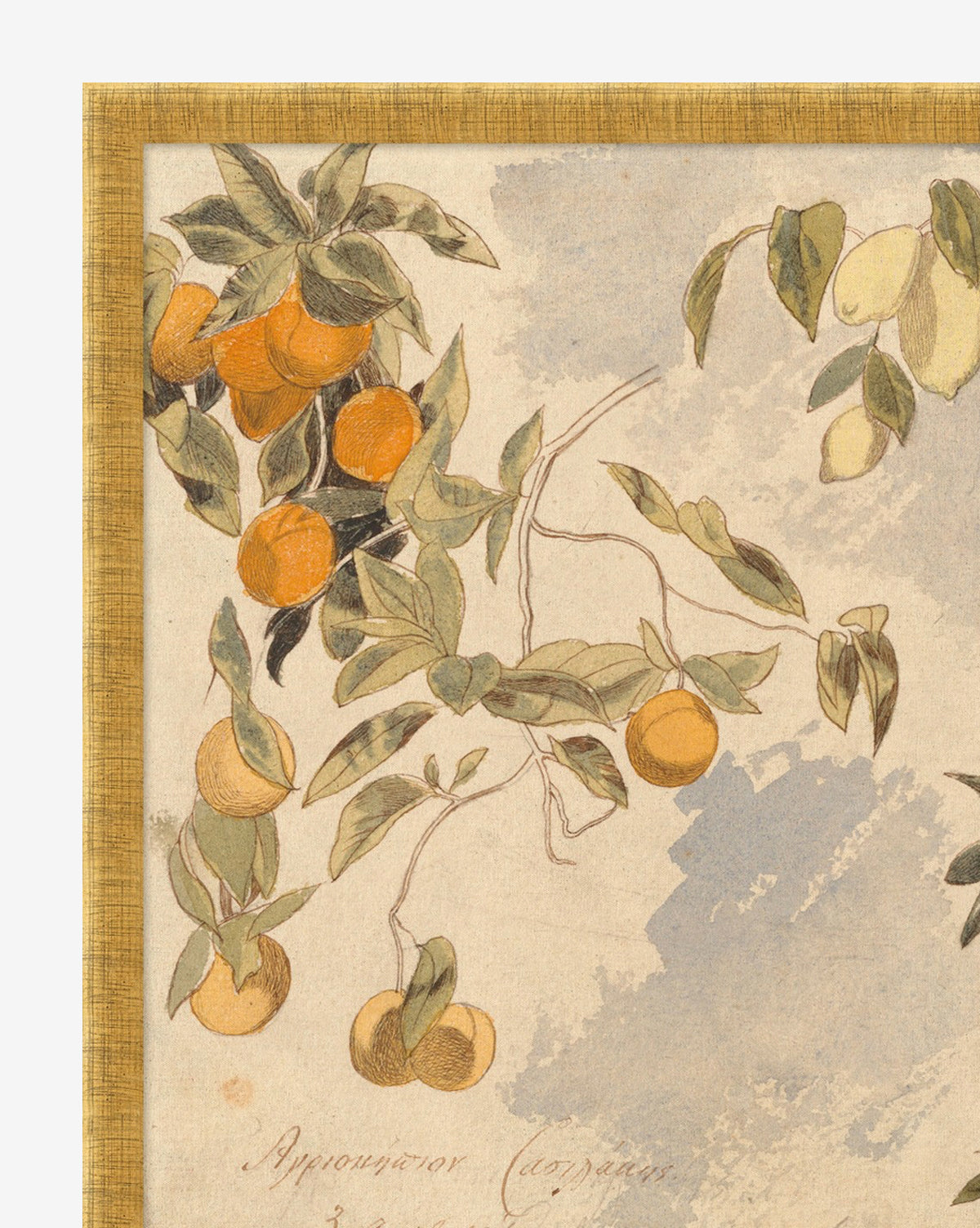 The Lemons & Oranges artwork features a watercolor of citrus fruits with green leaves on branches, set against a textured background. This vibrant piece is perfect for spring wall decor and comes bordered by a thin golden frame.