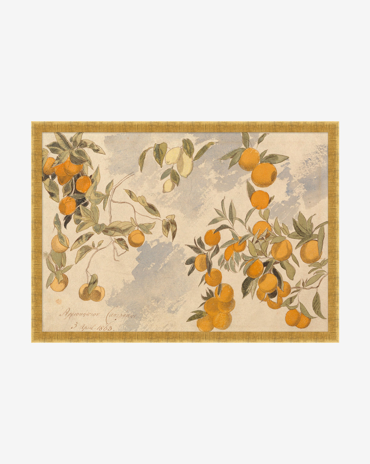 Lemons & Oranges features a vintage-style illustration of orange branches with ripe oranges and green leaves on a muted background, bordered by gold—a perfect spring wall decor or standout oranges art piece.