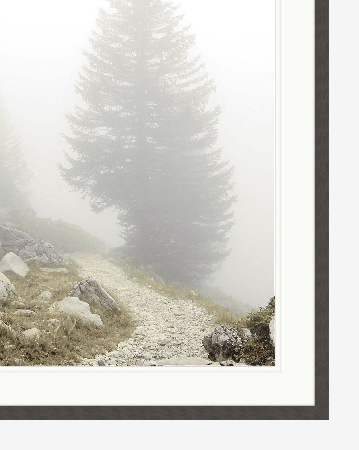 A rocky path winds through misty evergreens in Foggy Mountain I, a serene wall art giclee print, ideal for display in a black woodgrain frame.