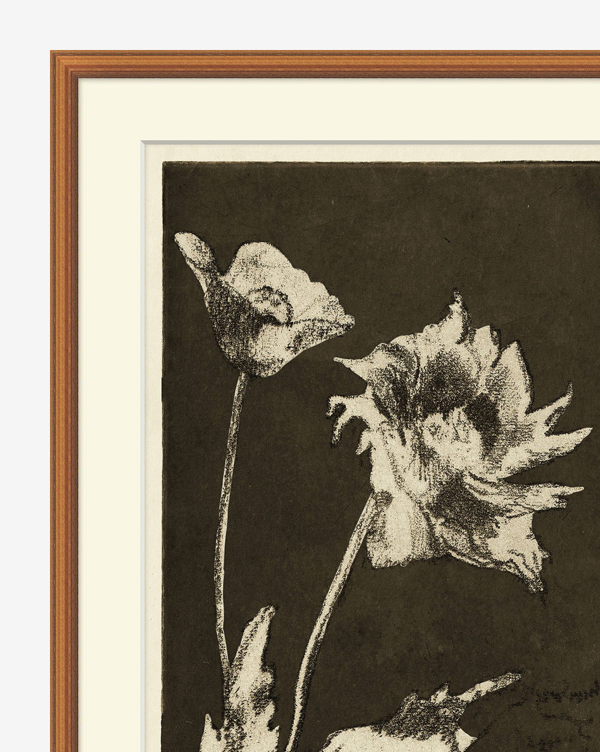 Floral Etching: A framed artwork with two detailed poppy flowers in dark black tones on a brownish-black background, presented with a white mat and gold wood frame.