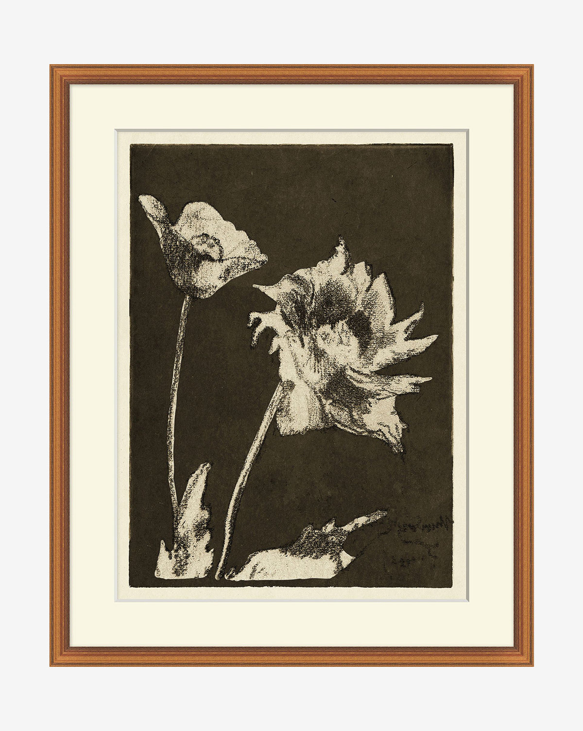 Floral Etching: A black and white artwork featuring two blooming poppy flowers with stems and leaves, set against dark tones and elegantly framed with a light mat and gold wood frame.