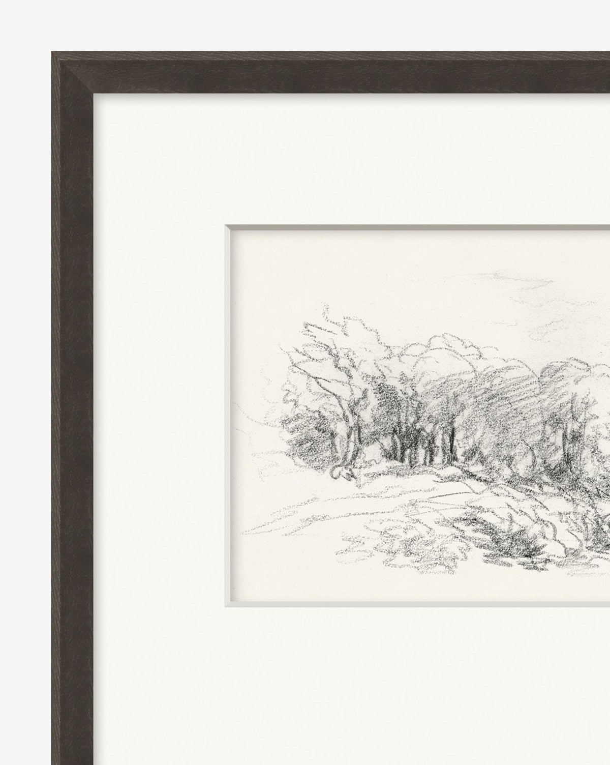 Sketch Landscape I: A museum-quality pencil sketch of trees and foliage on white paper, drawn with expressive lines. Presented in a dark brown frame with a white mat.
