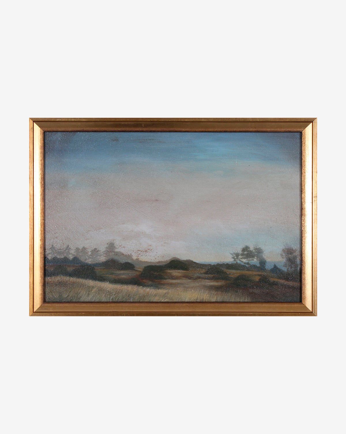 Morning Valley: Framed landscape painting with a gold frame, showcasing grassy fields and bushes under a cloudy blue sky in a moody valley scene.
