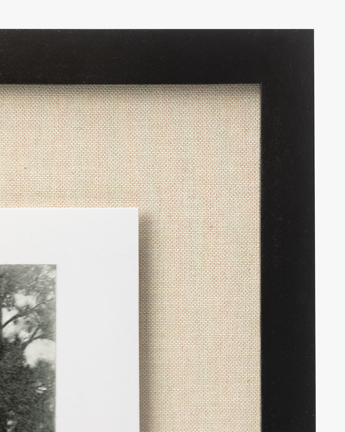 Close-up of a frame corner with a black border, beige textured matting, and part of the black-and-white Muted Florida Pines by Carol Haymon giclee print visible inside.
