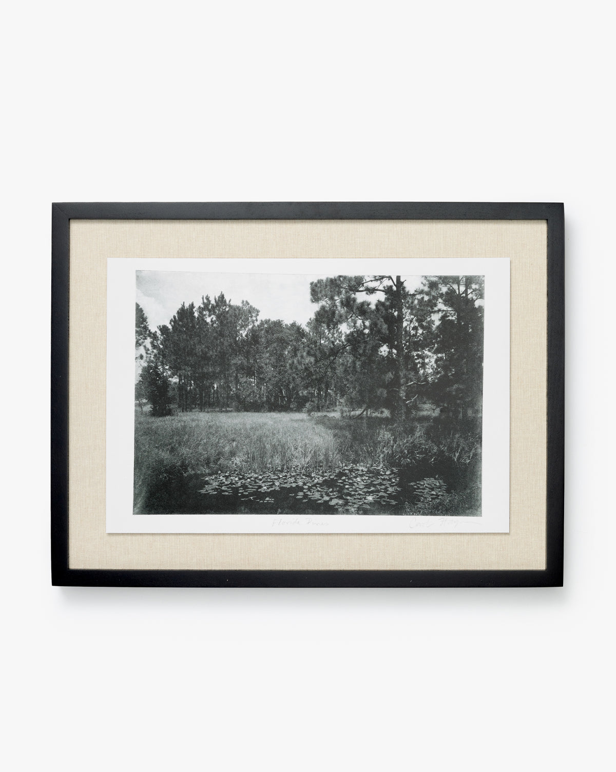 Muted Florida Pines by Carol Haymon—a framed black-and-white fine art giclee print featuring pines and tall grass, accented with a beige mat and simple black frame for a timeless natural look.