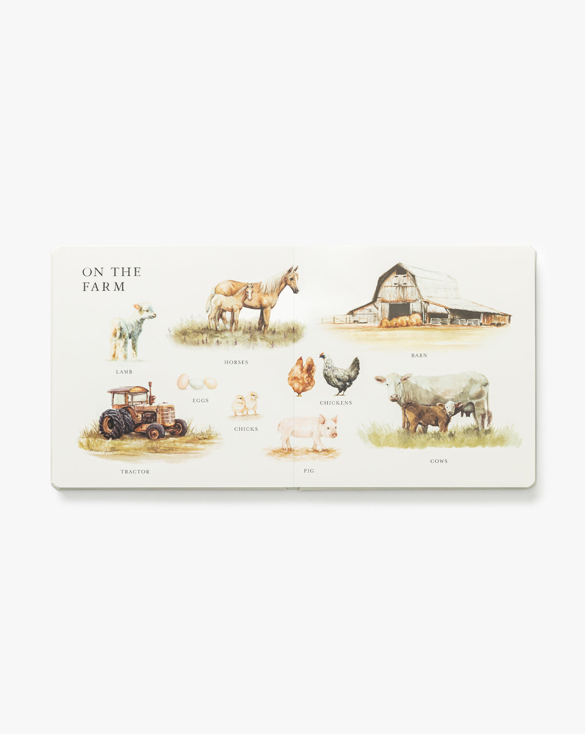 A page from Our Big Book of First Words titled On the Farm features labeled illustrations to teach children vocabulary such as lamb, horse, barn, tractor, eggs, chicks, chickens, pig, and cows on a white background by McGee & Co.