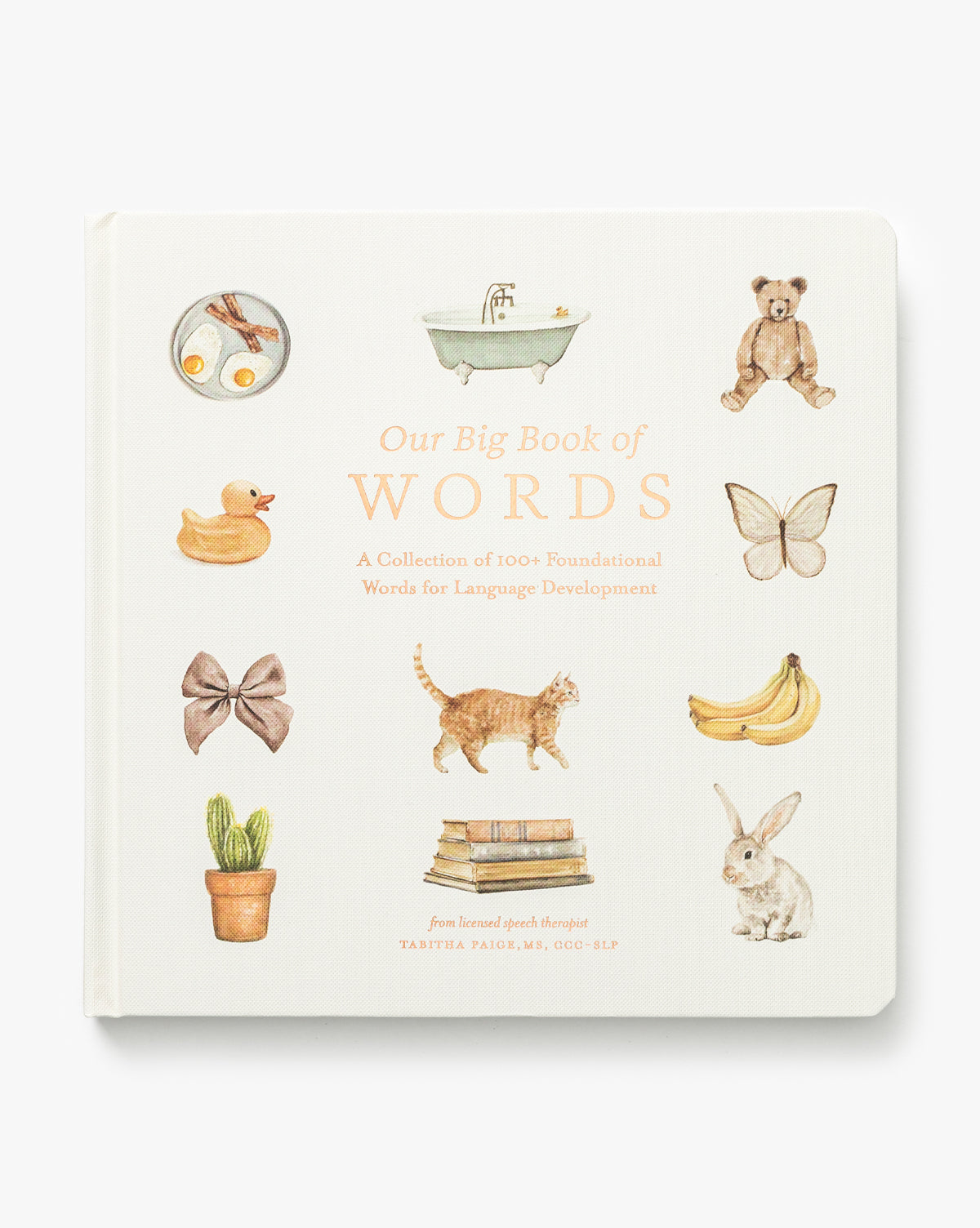 Our Big Book of First Words is a childrens board book with cover illustrations of eggs, a bathtub, a teddy bear, a duck, and bananas, designed to build vocabulary and introduce first words by McGee & Co.