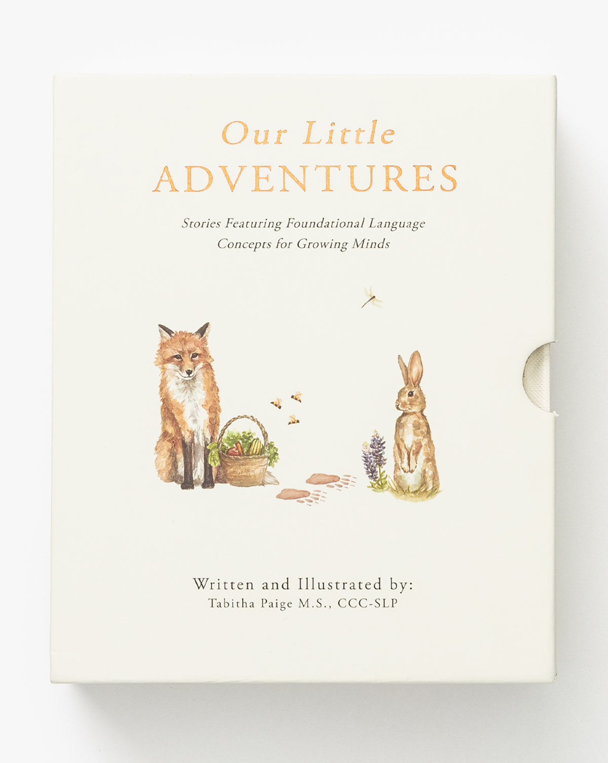 The book cover for Our Little Adventures features a fox, rabbit, picnic basket, and flowers—ideal for toddler language development books. It displays the subtitle and author’s name: Tabitha Paige, M.S., CCC-SLP, by McGee & Co.