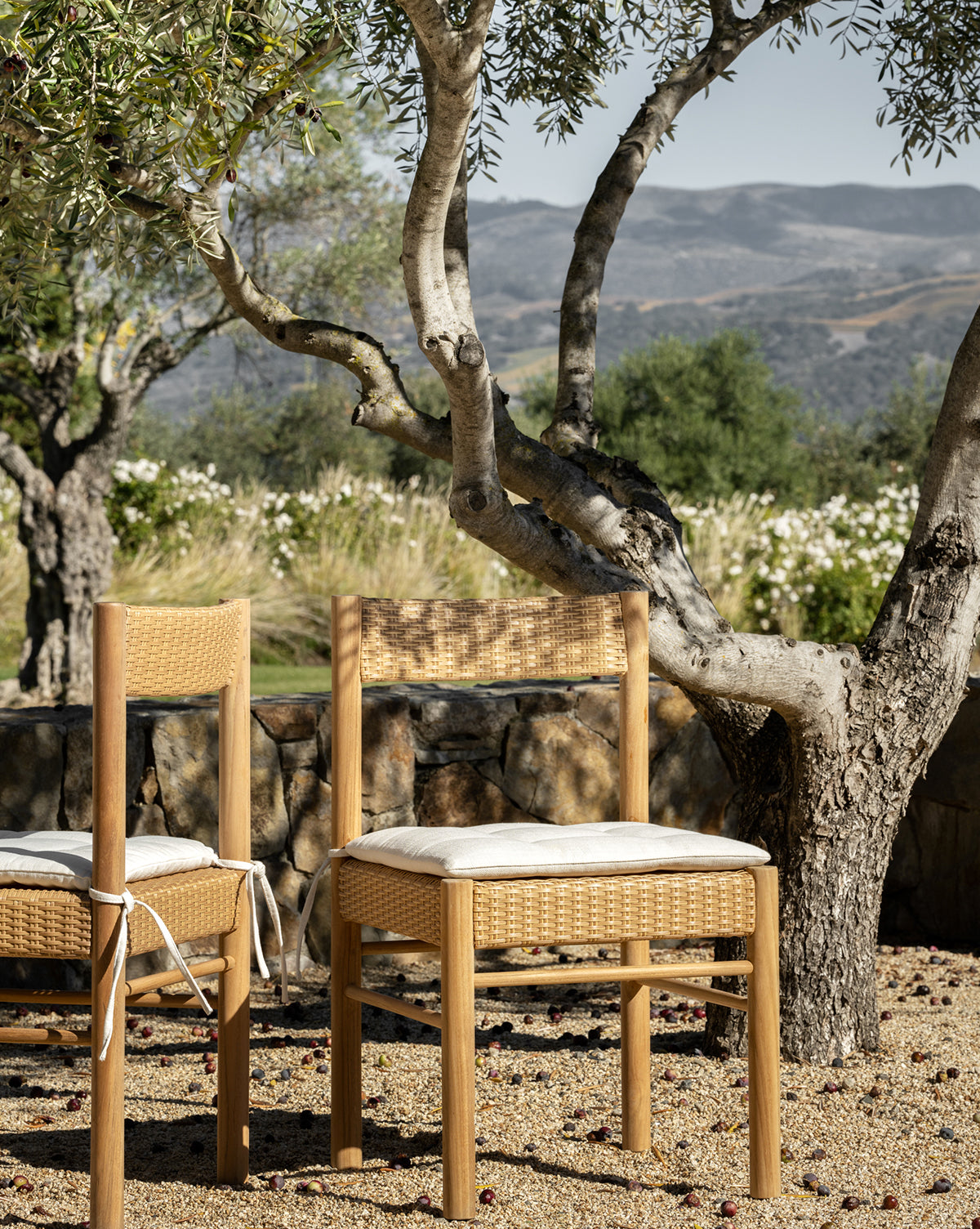 Two Simeon Outdoor Dining Chairs with woven backs and beige cushions sit on gravel under an olive tree. Mountains, greenery, and a stone wall are visible in the background as sunlight softly illuminates the tranquil setting, by McGee & Co.
