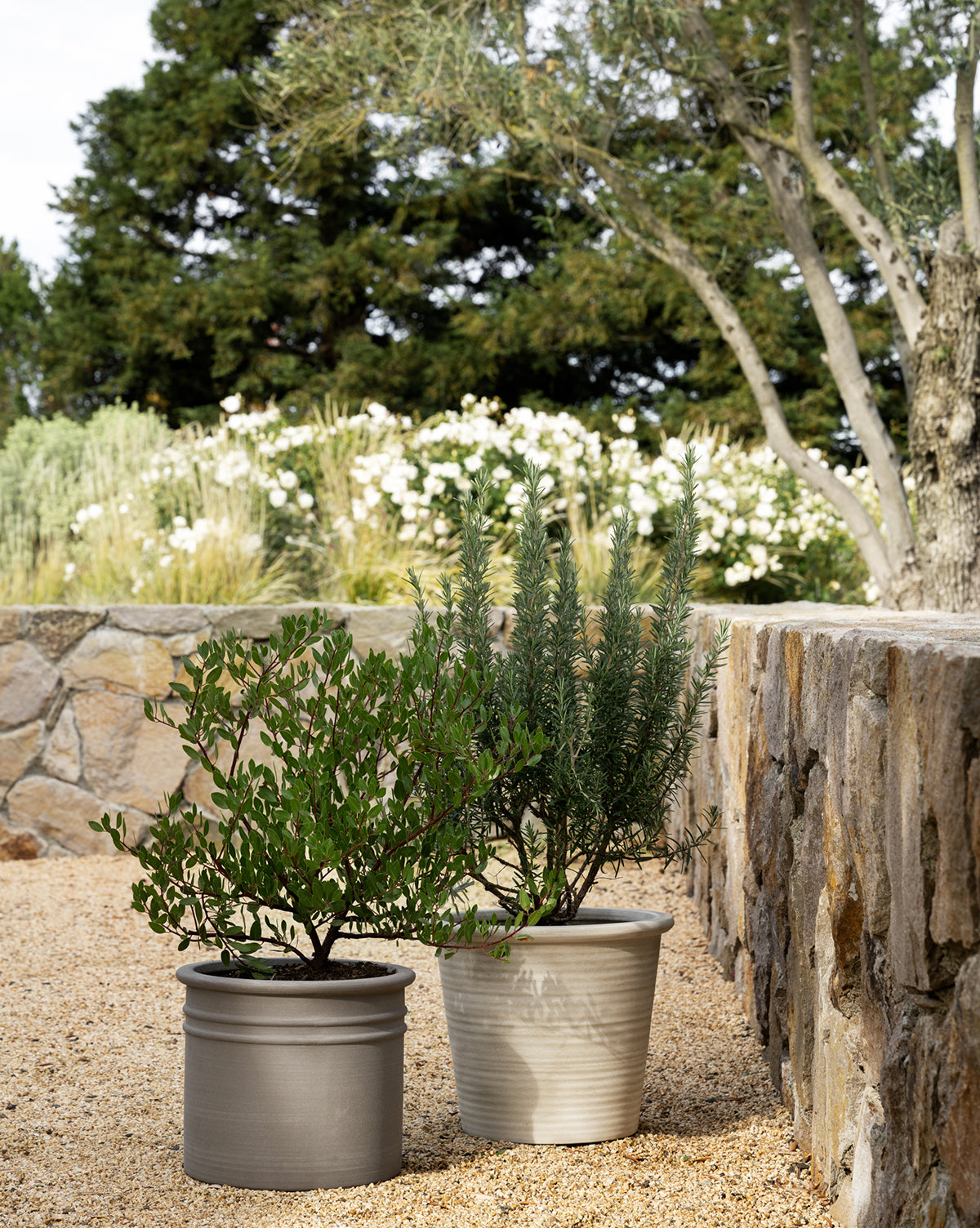 Canton Ceramic Planter paired with other planter in backyard space, from McGee & Co.