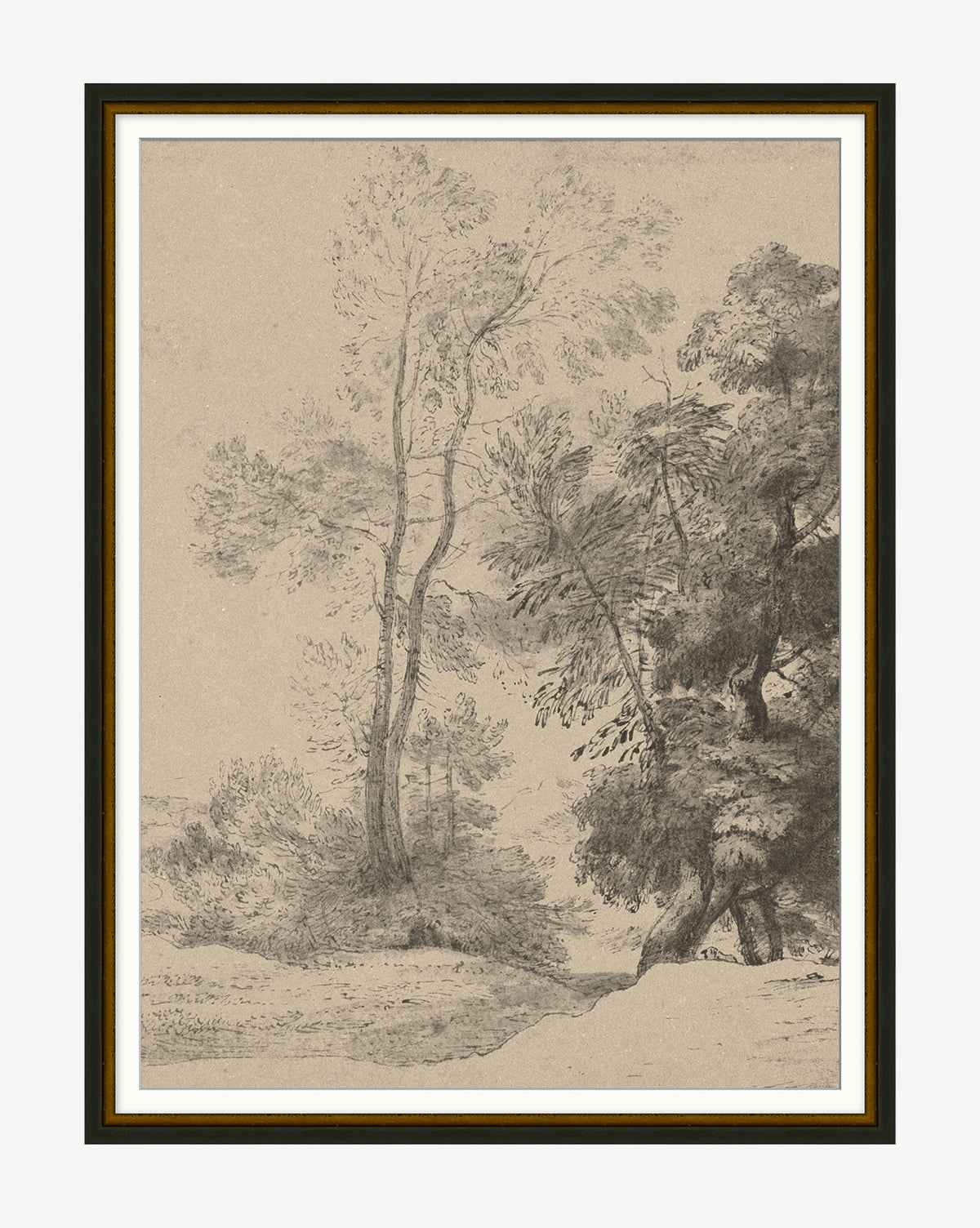 The Pastoral Sketch is a black and white landscape art print featuring tall, slender trees and dense foliage, framed by a thin dark border. Detailed shading and subtle texture give this vintage piece a calm, natural beauty.