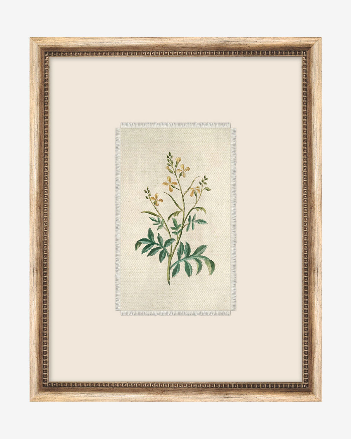 The Petite Floral IX framed giclee print showcases a green leafy plant with small yellow flowers on a beige background, accented by a vintage-style wood frame, by McGee & Co.