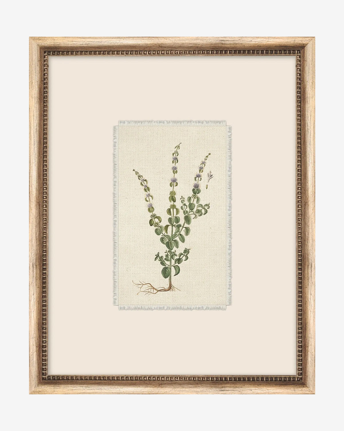Petite Floral VI is a framed botanical illustration of a green plant with purple and white flowers on a light beige background in a vintage-style wood frame, featuring beautifully detailed roots, leaves, and stems—ideal for home décor, by McGee & Co.
