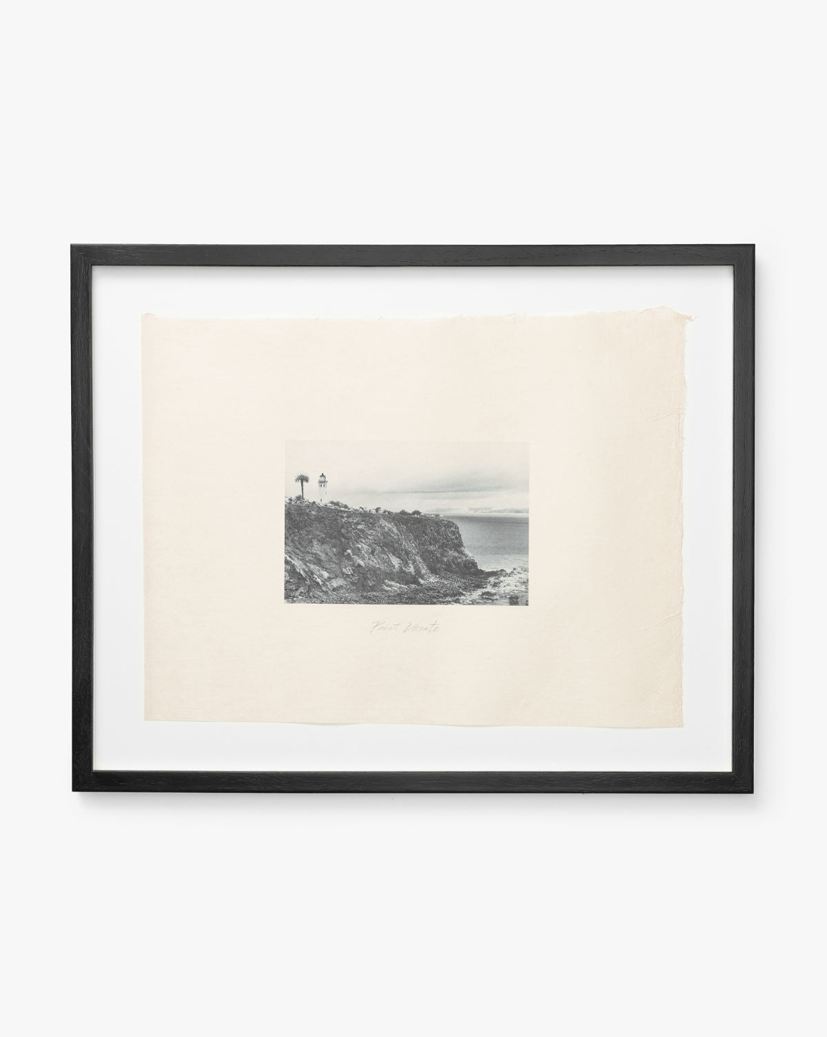Point Vicente: Framed black-and-white photo featuring a rocky coast, two palm trees, and a distant ocean horizon, printed on textured handmade paper with rough edges.