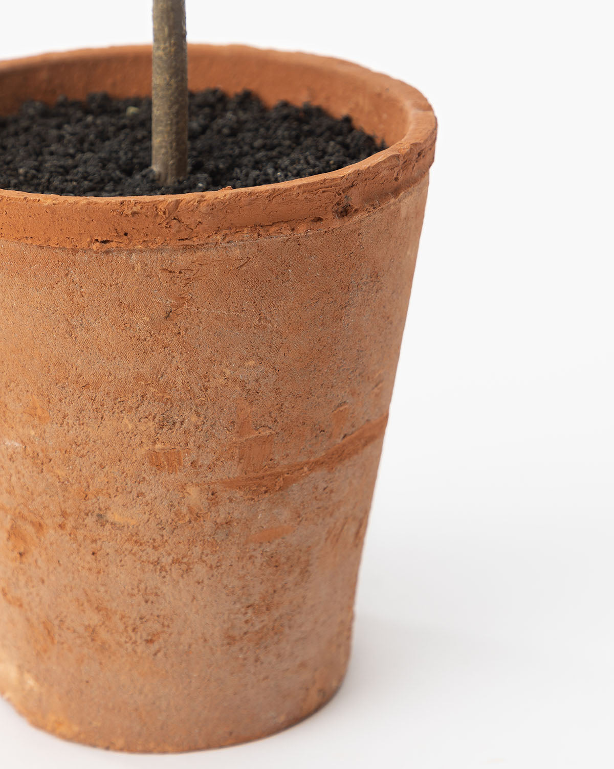 A close-up of the Potted Faux Rosemary Topiary shows its terracotta pot filled with dark soil and the realistic base of a rosemary stem, all set against a plain white background.