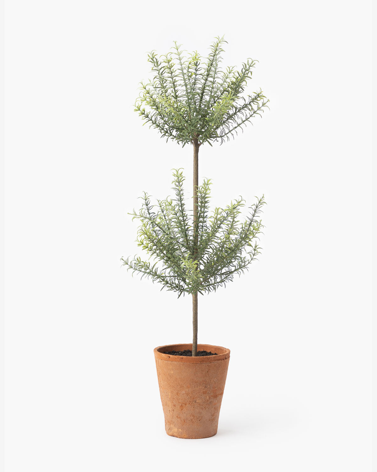 faux rosemary plant, faux rosemary, small faux potted plants, faux topiary, spring home decor