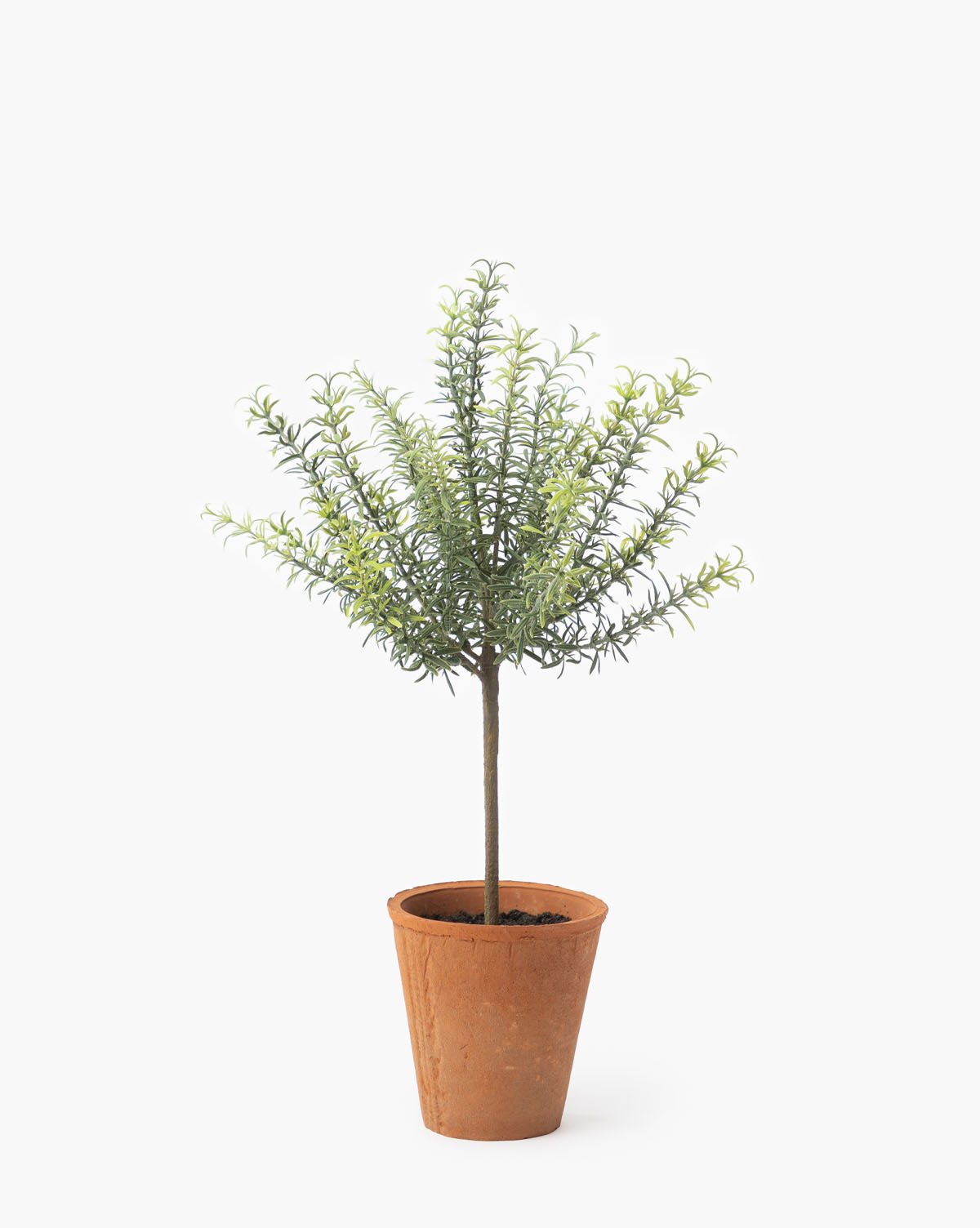 faux rosemary plant, faux rosemary, small faux potted plants, faux topiary, spring home decor