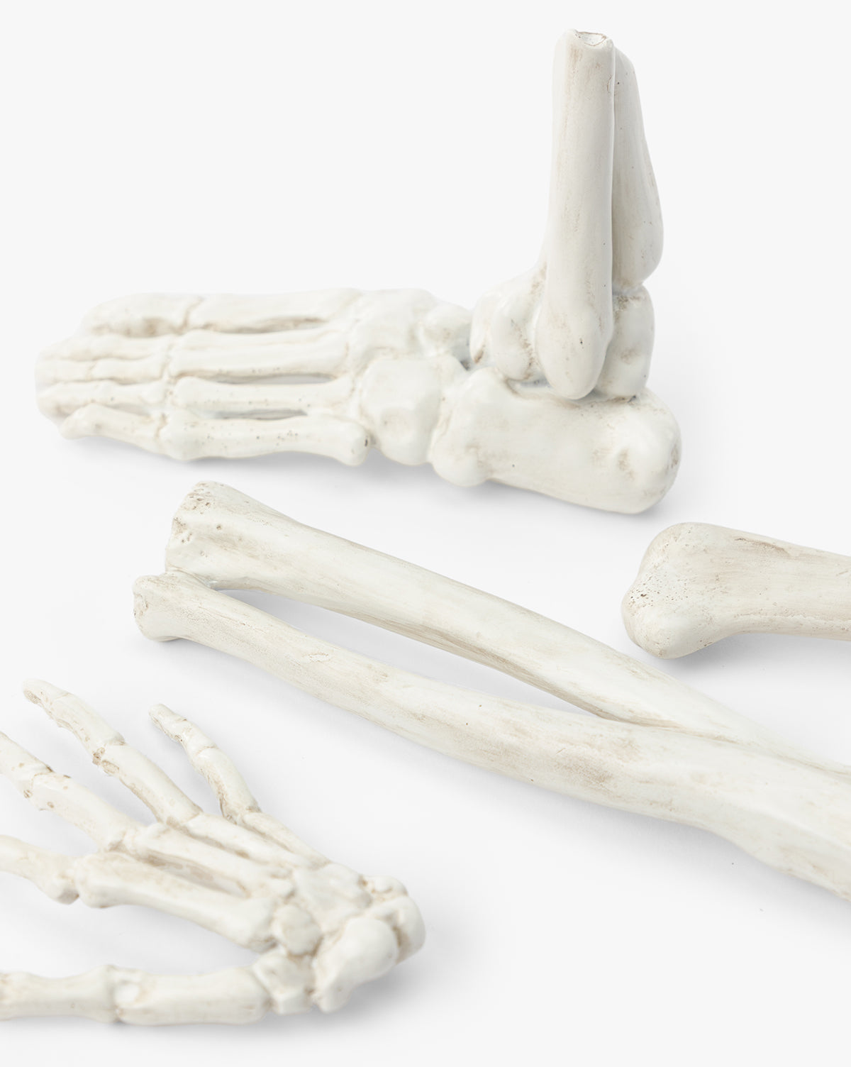 Resin Skeleton Bones in Drawstring Bag (Set of 4)