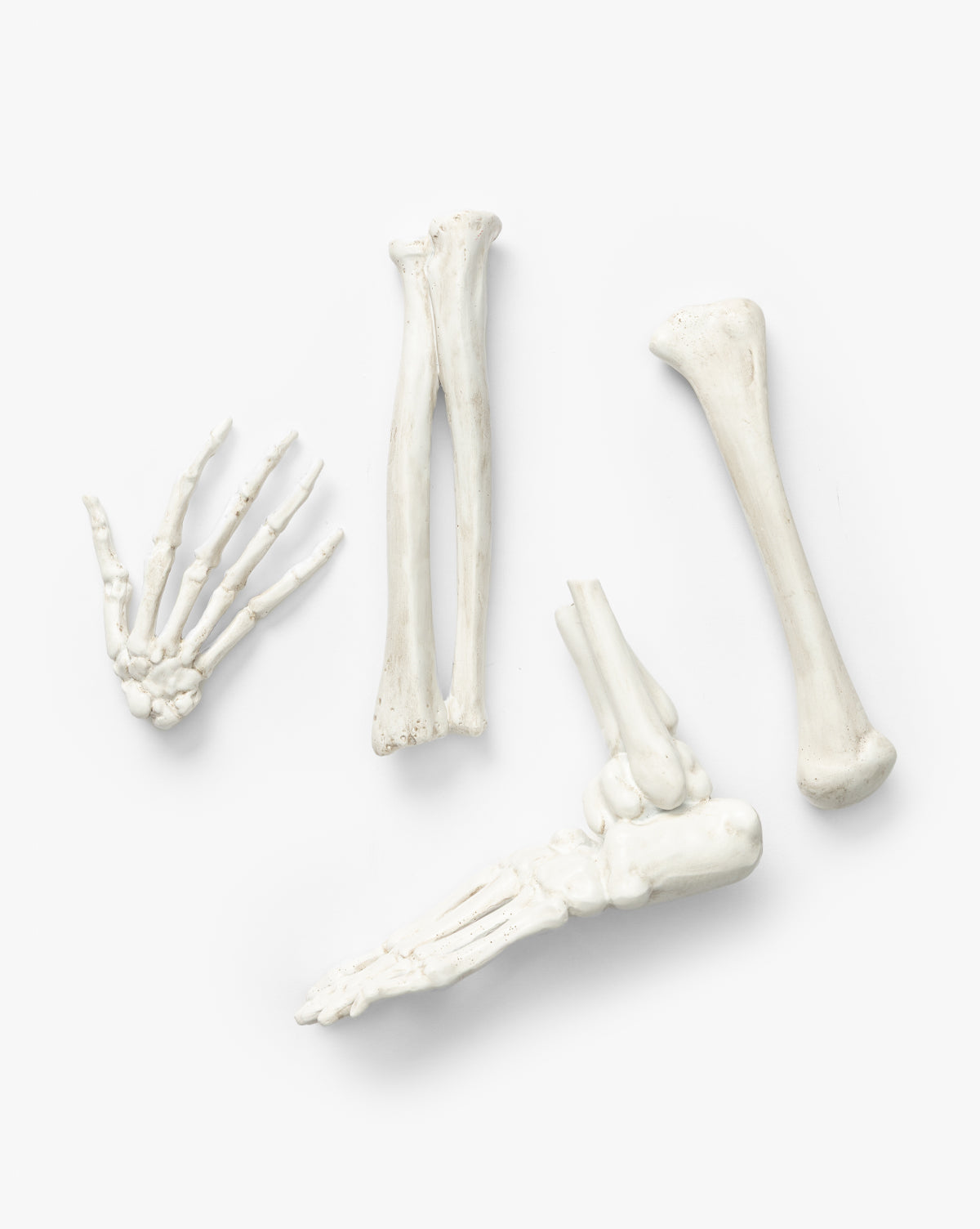 The Resin Skeleton Bones in Drawstring Bag (Set of 4) features four white resin bones—paw with toes and three long limb bones—arranged on a plain background, perfect as a spooky Halloween display centerpiece by McGee & Co.