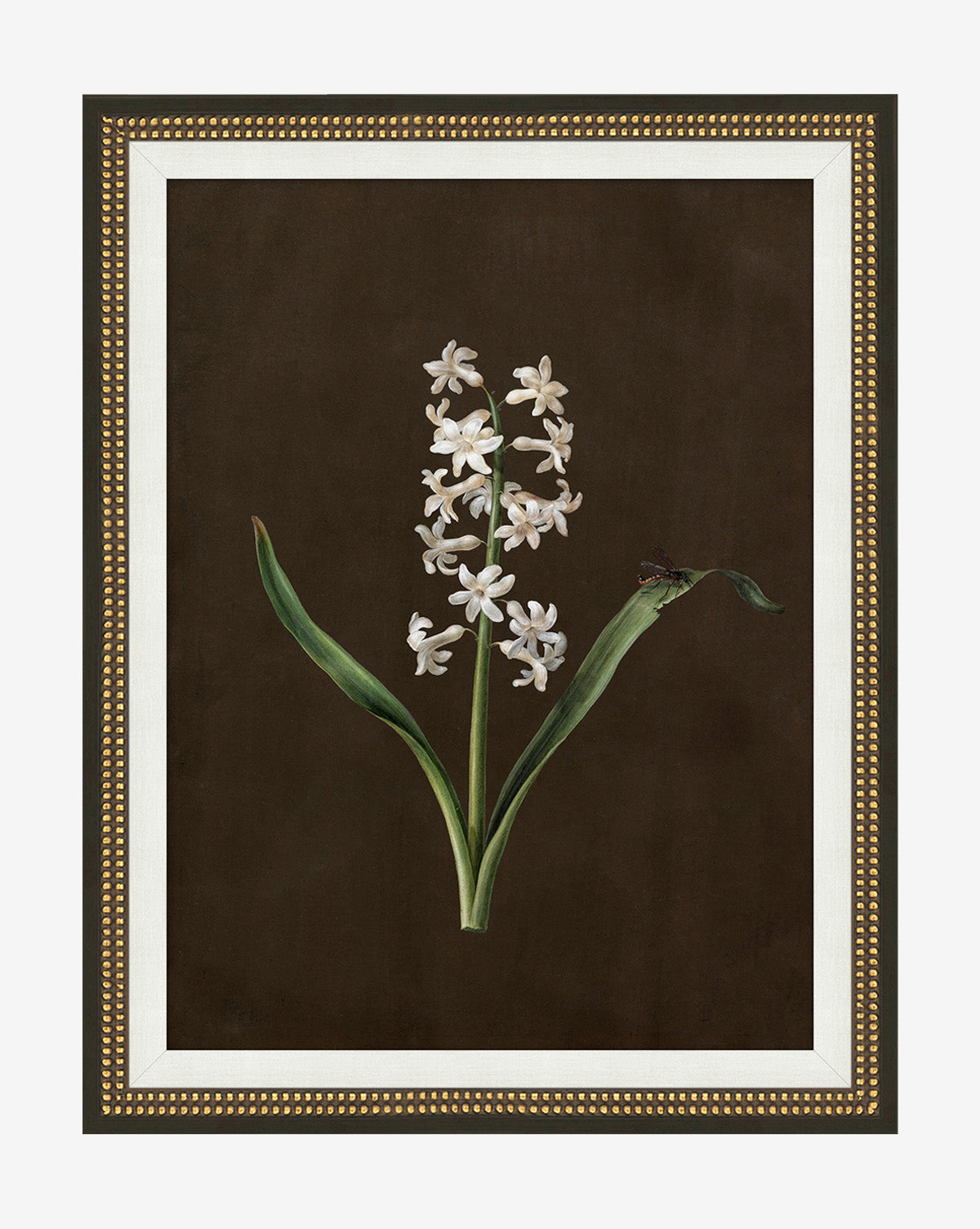 Sepia Sprouts I is a gallery-quality art piece showcasing a botanical illustration of a white flower with green leaves on a dark brown background, finished with an ornate gold-detailed frame—perfect for gold frame wall art lovers, by McGee & Co.