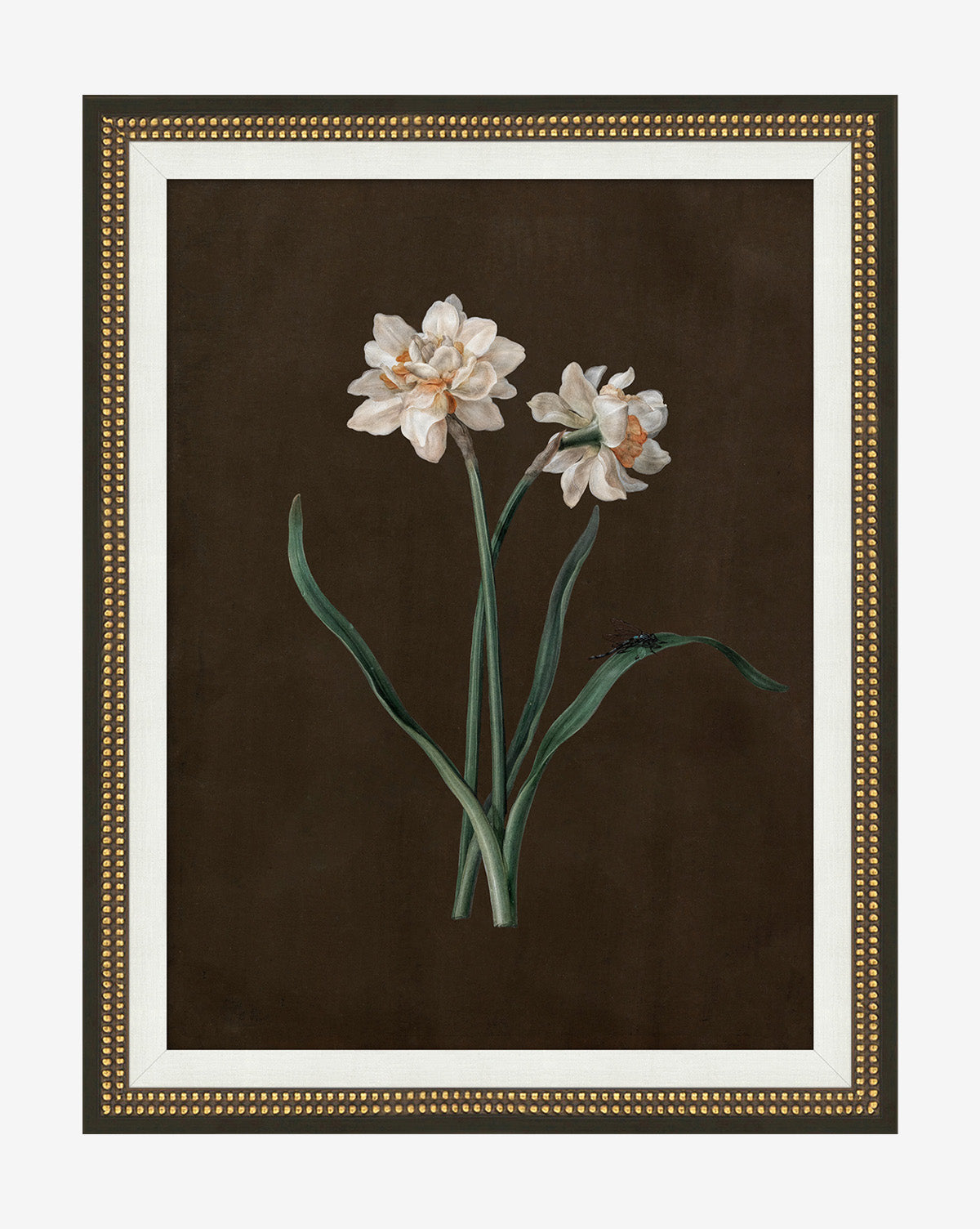 Sepia Sprouts III is a gallery-quality botanical illustration of two white daffodils with green stems and leaves on a dark brown background, presented in a gold-finished wood frame, by McGee & Co.