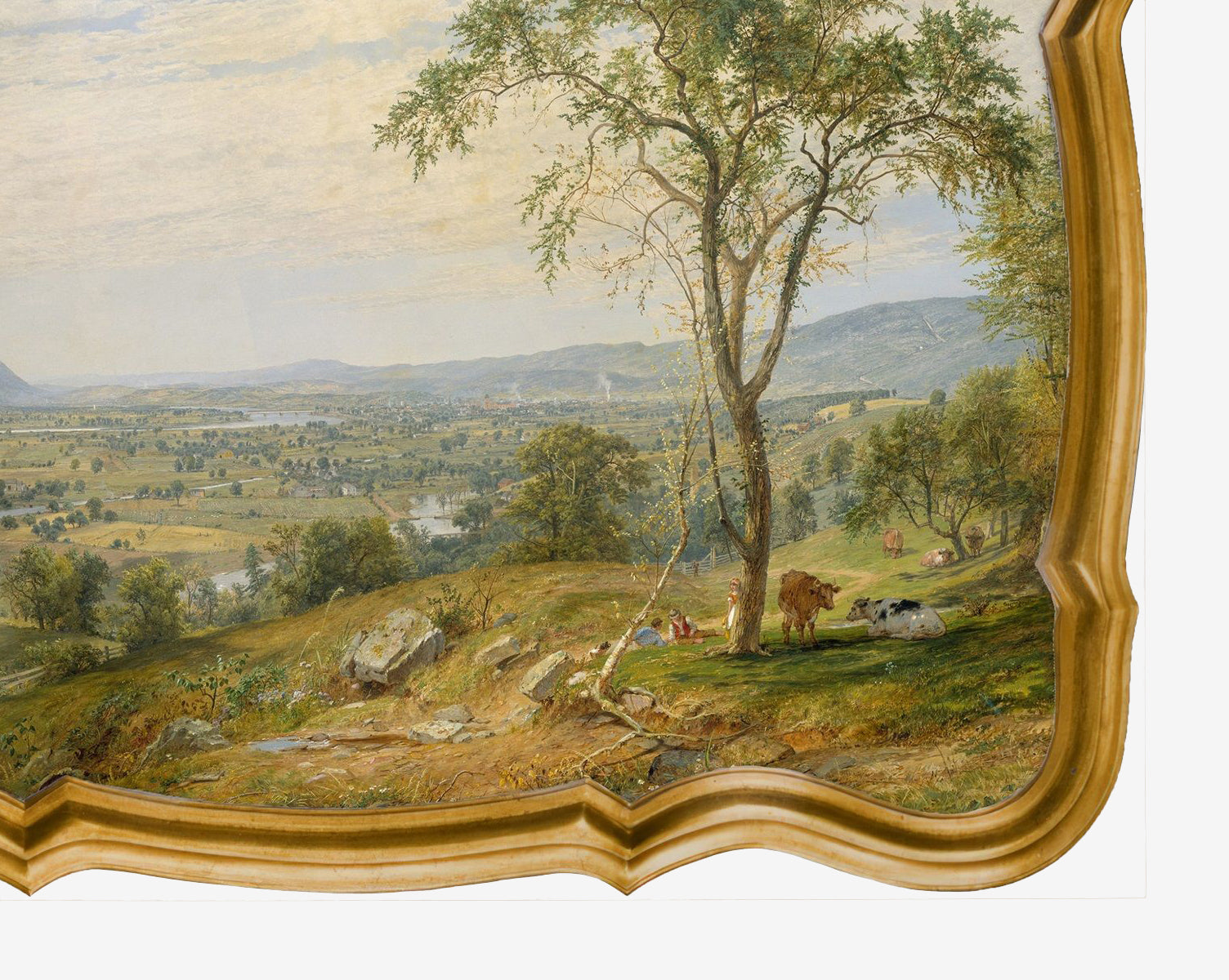 Serene Valley Panorama