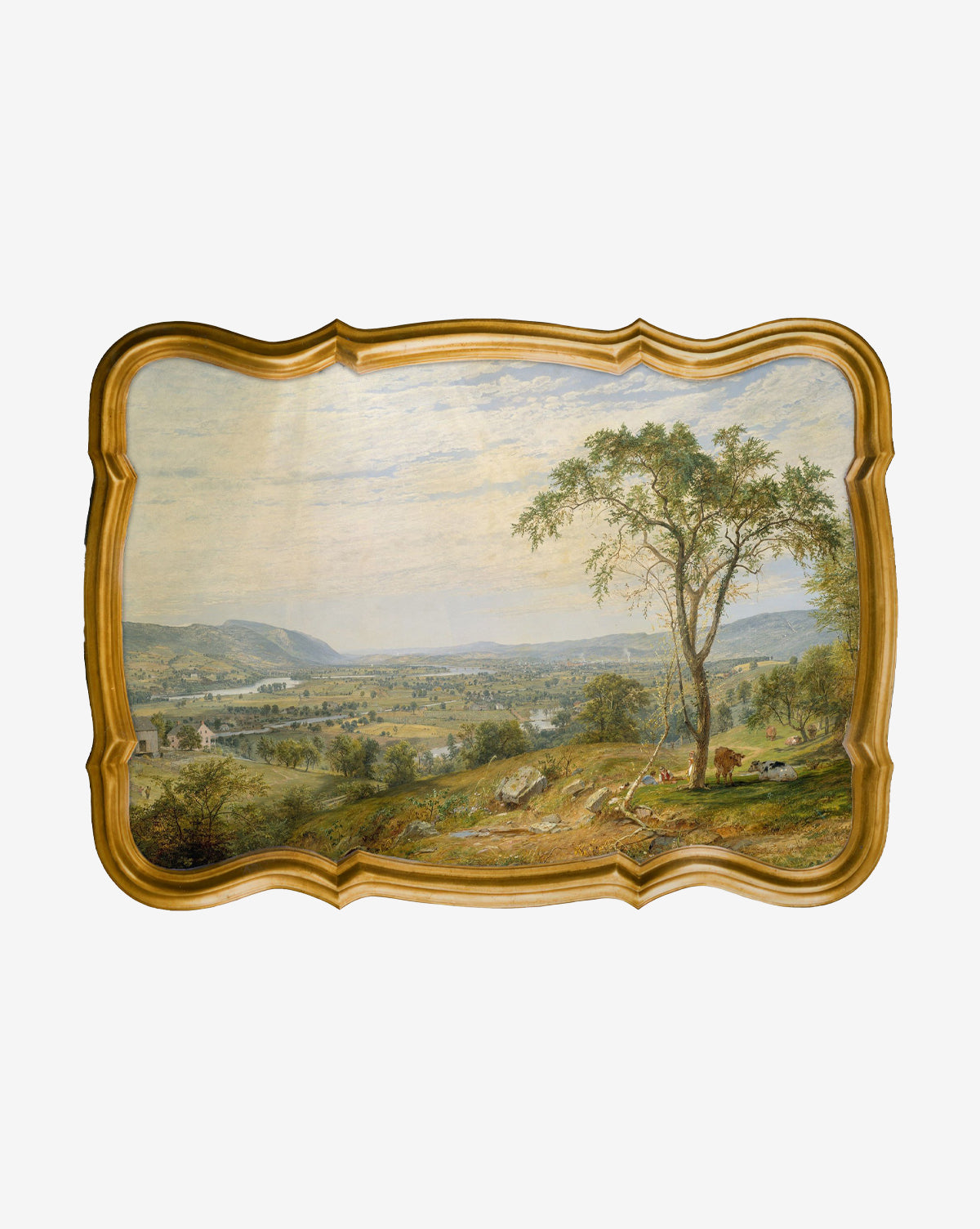 Serene Valley Panorama