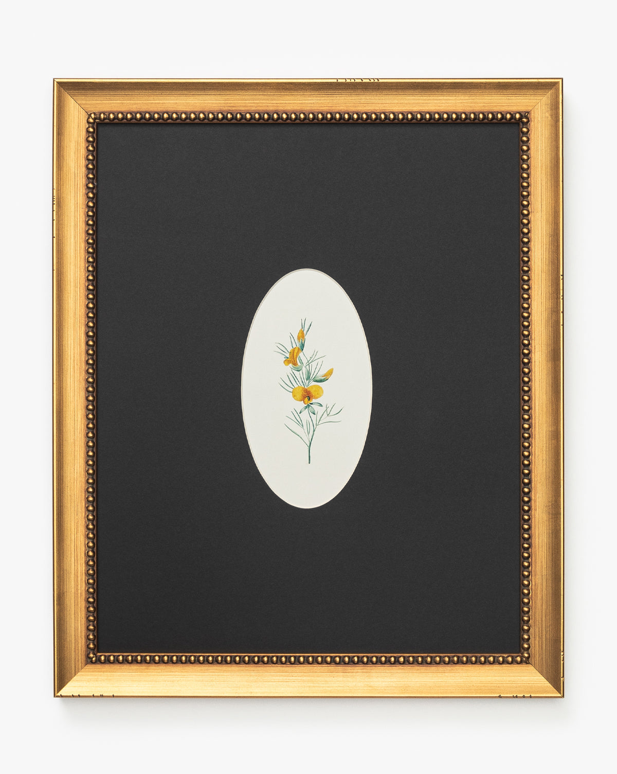 Single Blooms 1 is a botanical wall art piece featuring yellow flowers with green stems, centered in an oval mat and displayed in a square gold wood frame with beaded detailing and a wide black mat, by McGee & Co.
