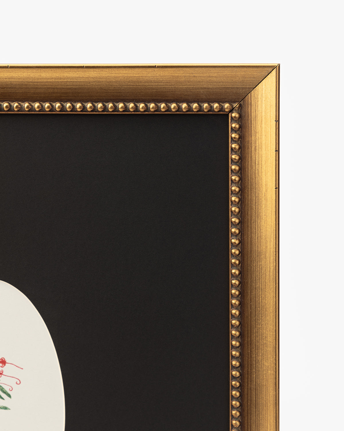 Close-up of the top right corner of a gold-finished wood frame with a beaded inner edge and black mat, partially revealing the Single Blooms 2 wall art featuring a small botanical detail on a white background by McGee & Co.