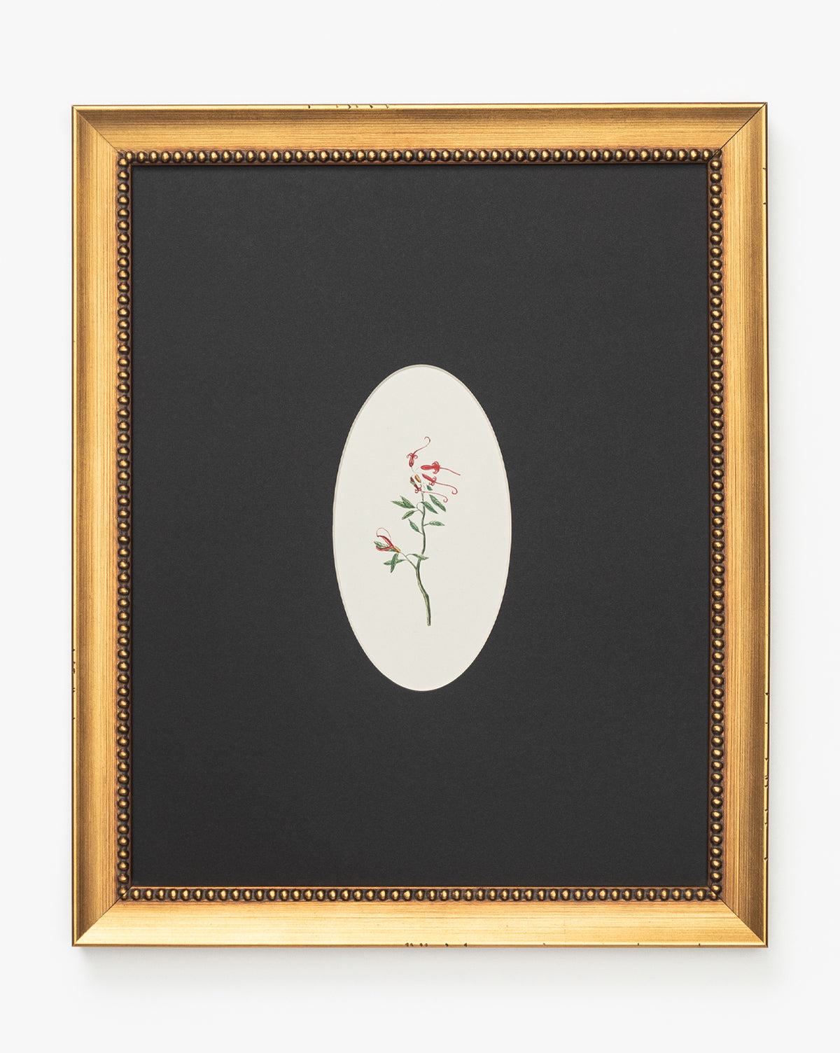 Single Blooms 2 features a delicate pink flower with green stem and leaves, set in a gold frame with black mat and oval cutout for a touch of vintage-inspired elegance perfect as wall art, by McGee & Co.