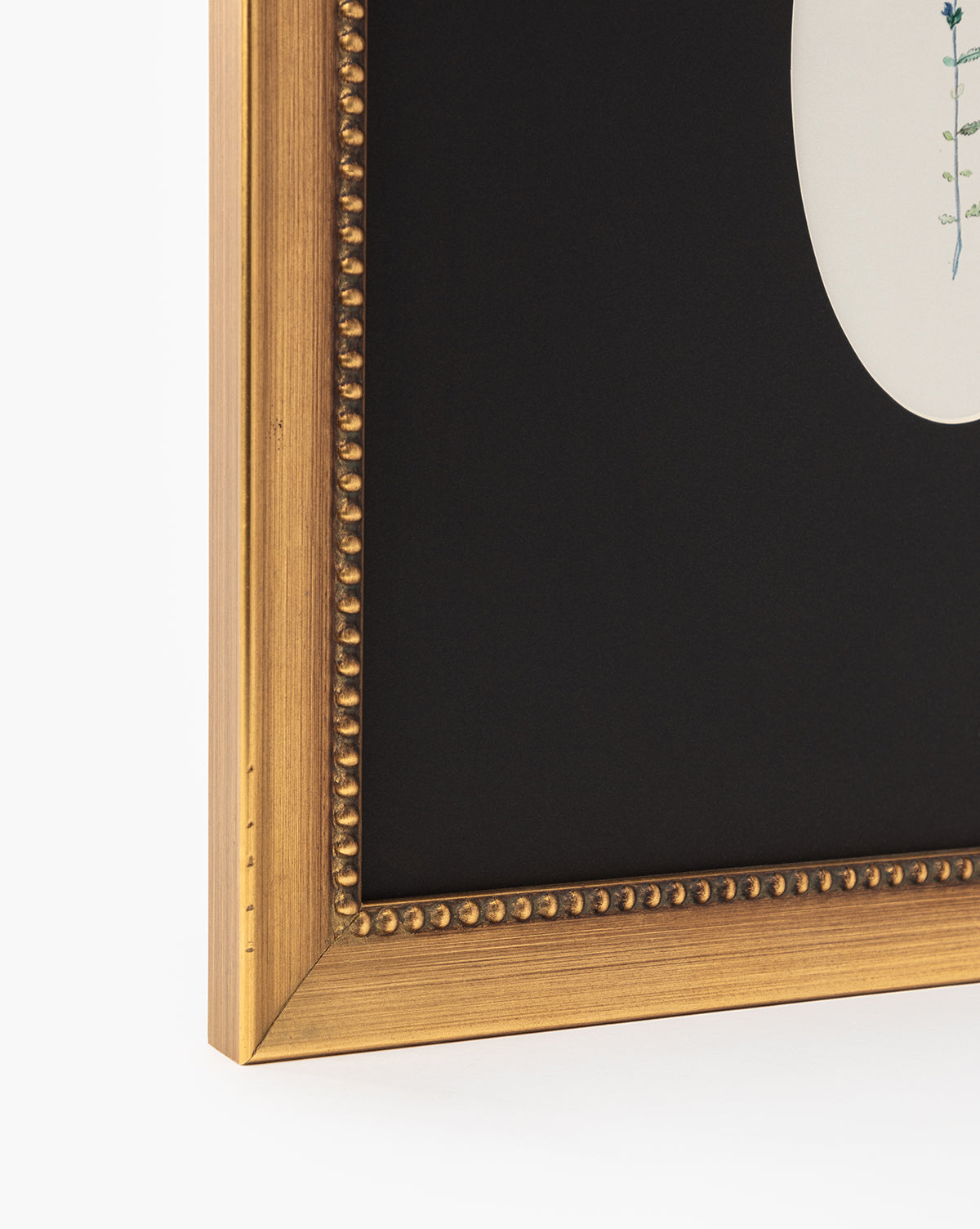 Close-up of the gold beaded frame and black mat surrounding a partial view of Single Blooms 3, a vintage-inspired wall art featuring a white oval with delicate blue and green botanical prints by McGee & Co.