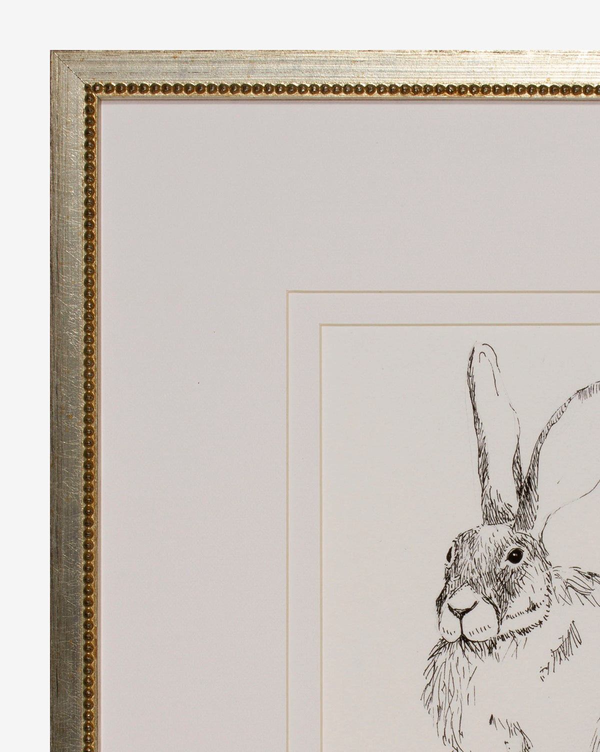 A close-up of the framed Sketched Bunny II giclee print shows a partial black ink sketch of a rabbit on white paper. Its gold, beaded-edge frame adds charm, making it perfect for children’s rooms.