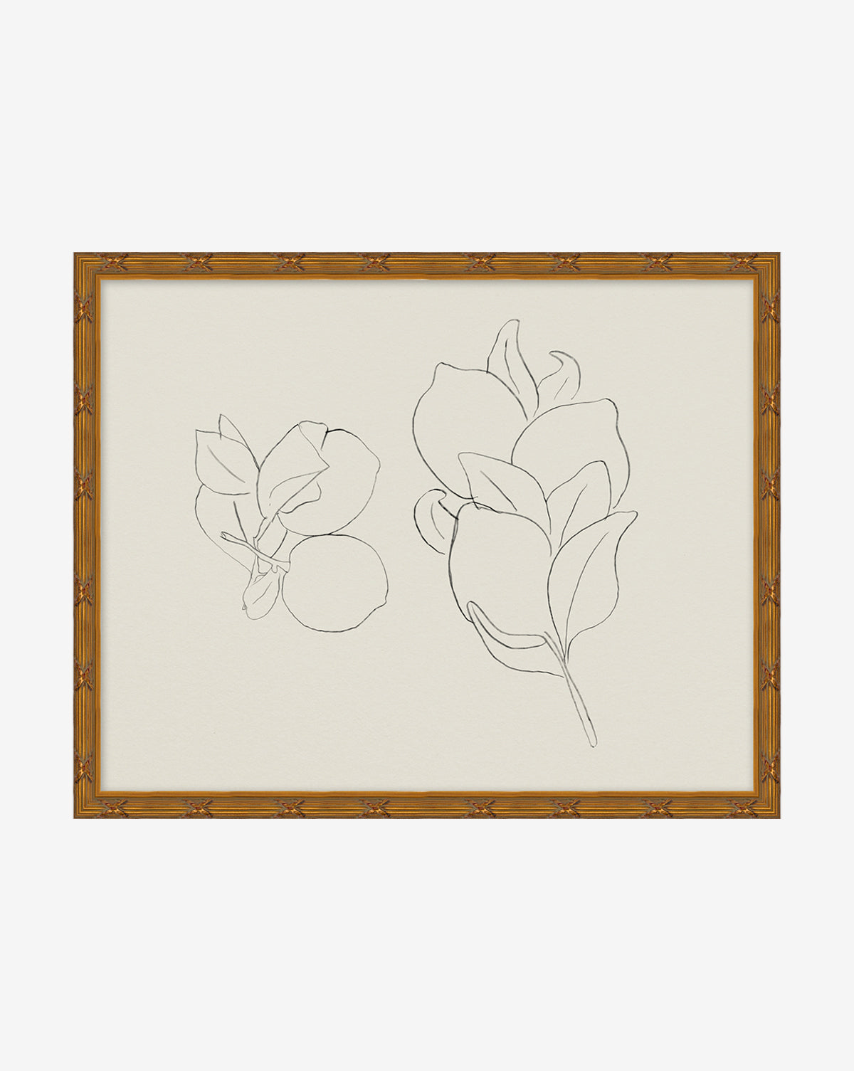 Sketched Fruit II is a minimalist nature-inspired artwork featuring simple, fluid black lines of two branches with leaves on a cream background, all elegantly presented in a light wooden frame.