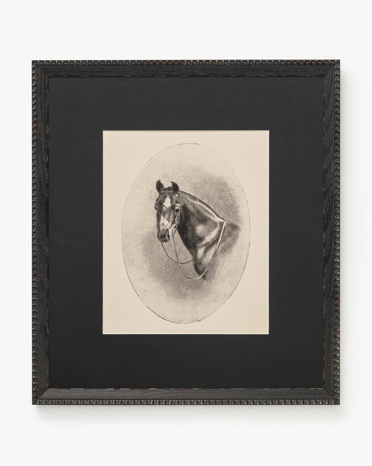 The Spirit wall art features a framed black-and-white horse portrait in profile, wearing a bridle and centered in a circular border on a plain background. A dark, textured black frame adds an elegant, striking finish, by McGee & Co.