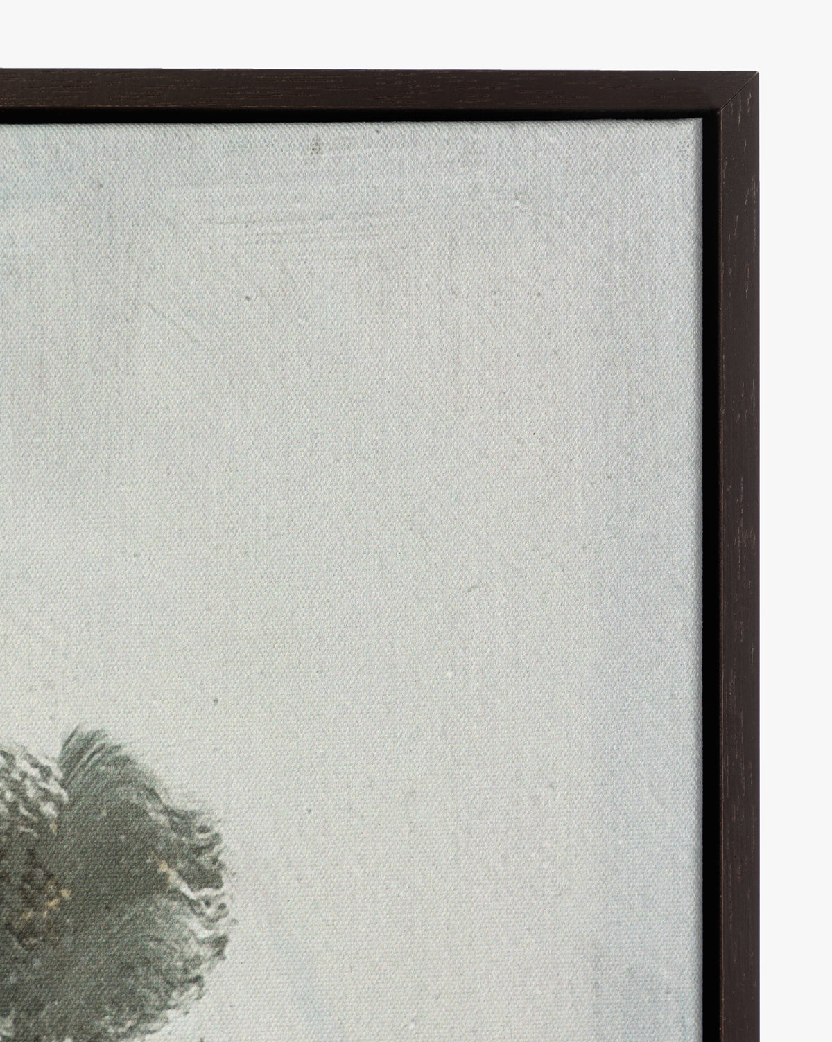 A close-up of the Spring Skies framed canvas shows a dark green abstract brushstroke on a white background, with the upper left corner of its espresso wood frame visible.