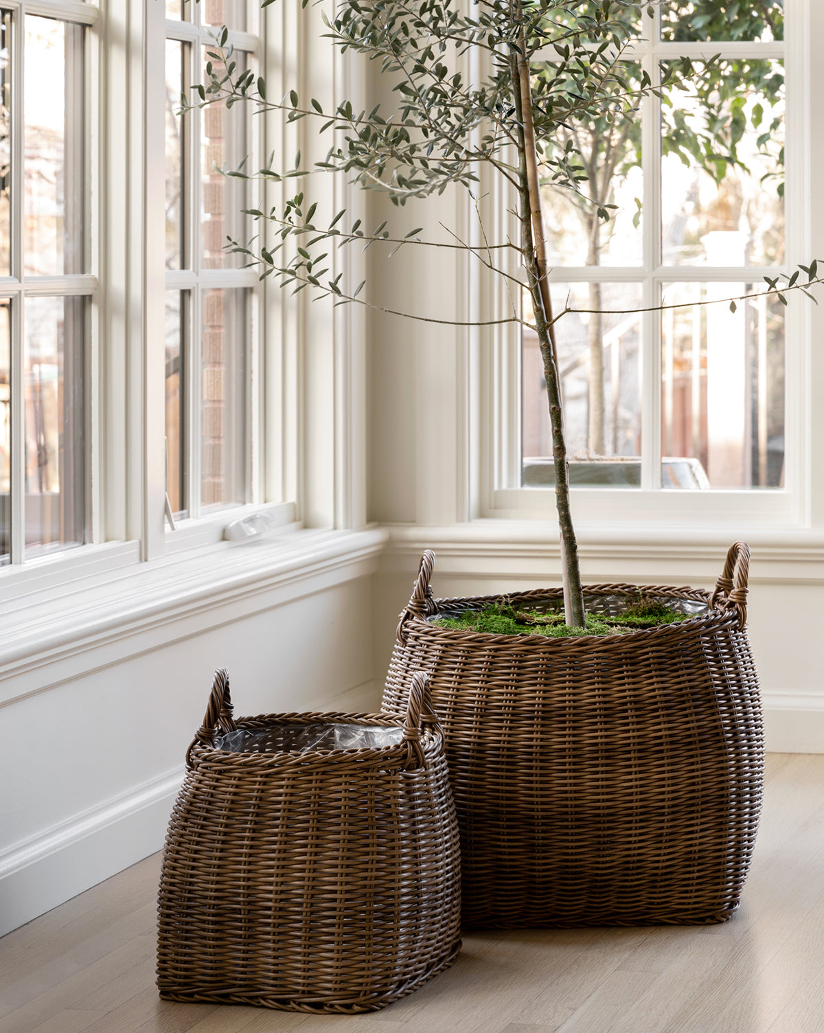The Handled Planter Basket and a second wicker basket rest on a light wood floor near tall windows. The larger holds an indoor plant, while sunlight streams in, highlighting the bright space and poly-rattan details.