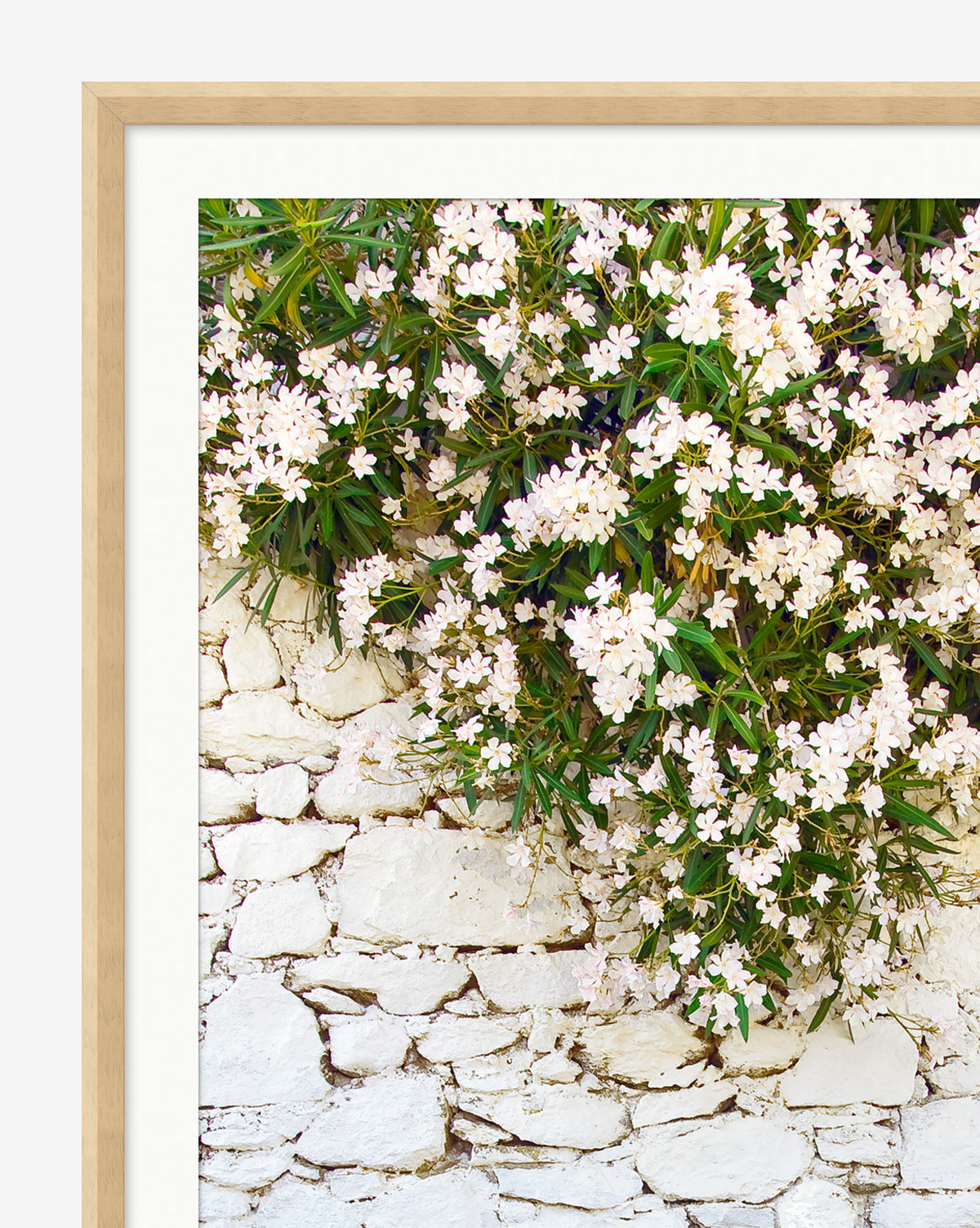 Stone & Blossoms features a cluster of light pink flowers with green leaves over a white stone wall. This botanical giclee print comes framed in light wood with a white mat, ideal for gallery-quality home decor.