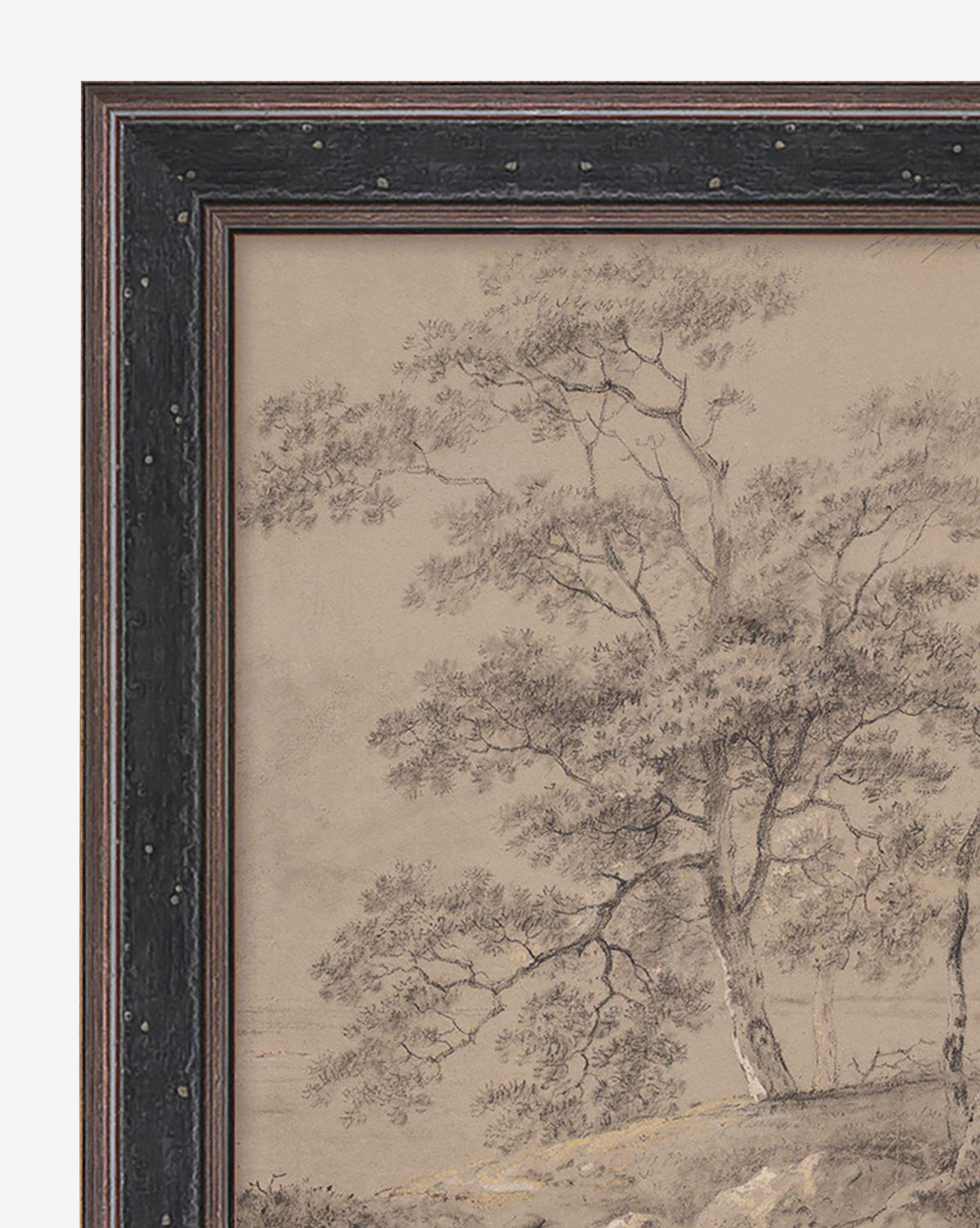 A detailed pencil drawing of tall, leafy trees on a hillside—Taupe Forest—is shown in a dark, textured wooden frame with a decorative border. Only the left portion of this vintage wall art is visible, highlighting its timeless charm.