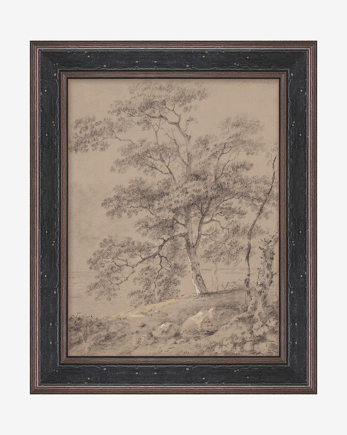 Taupe Forest is a framed monochrome pencil drawing of two tall trees with intricate branches and leaves on a rocky hill. Set in a dark, decorative frame, it’s perfect vintage wall art for any space.