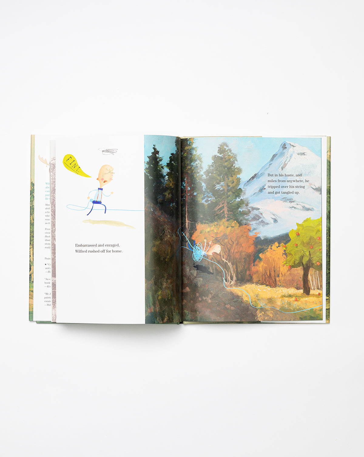An open copy of This Moose Belongs to Me reveals on the left a cartoon boy in a cape, and on the right a vibrant forest scene with a snowy mountain and flying bird, reflecting Oliver Jeffers’s whimsical style.
