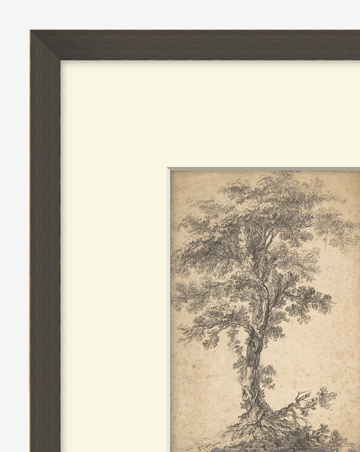 Tree on a Hilltop is framed vintage wall art featuring a detailed sketch of a large tree with spreading branches and a textured trunk, set on a cream mat in a dark wooden frame.