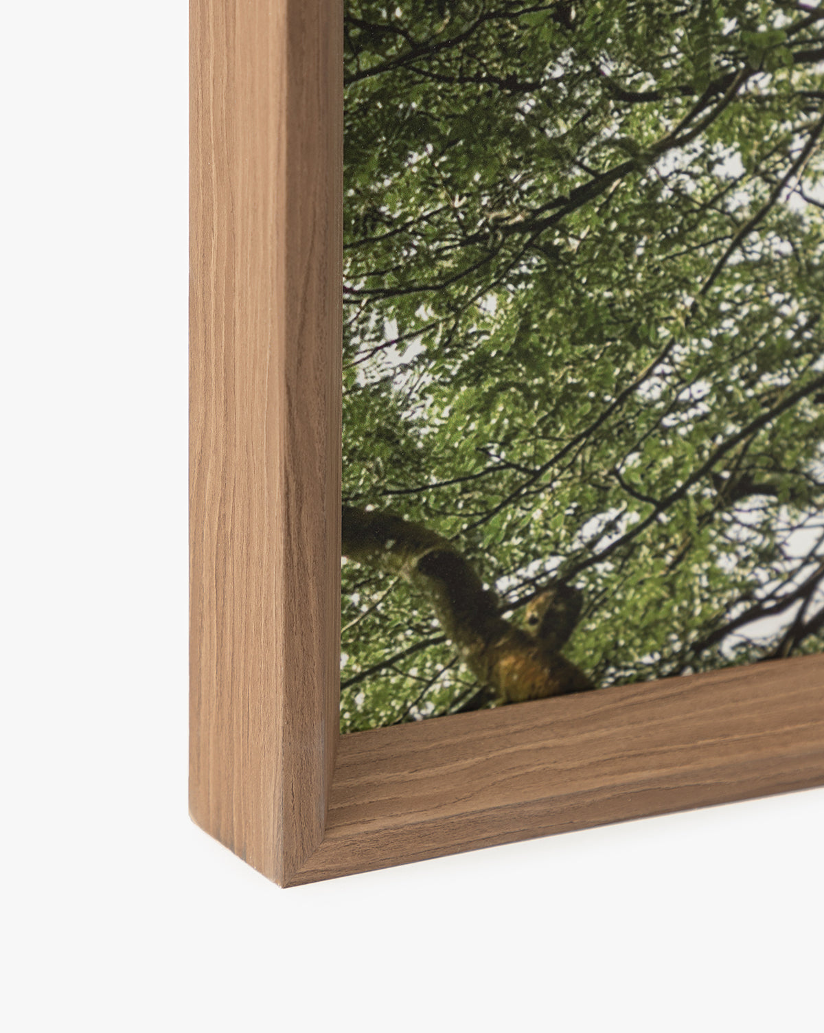 Close-up of the corner of a natural wood frame for Treetops wall art—a giclee print featuring green tree branches and leaves. The frame highlights the rich, natural wood grain texture.