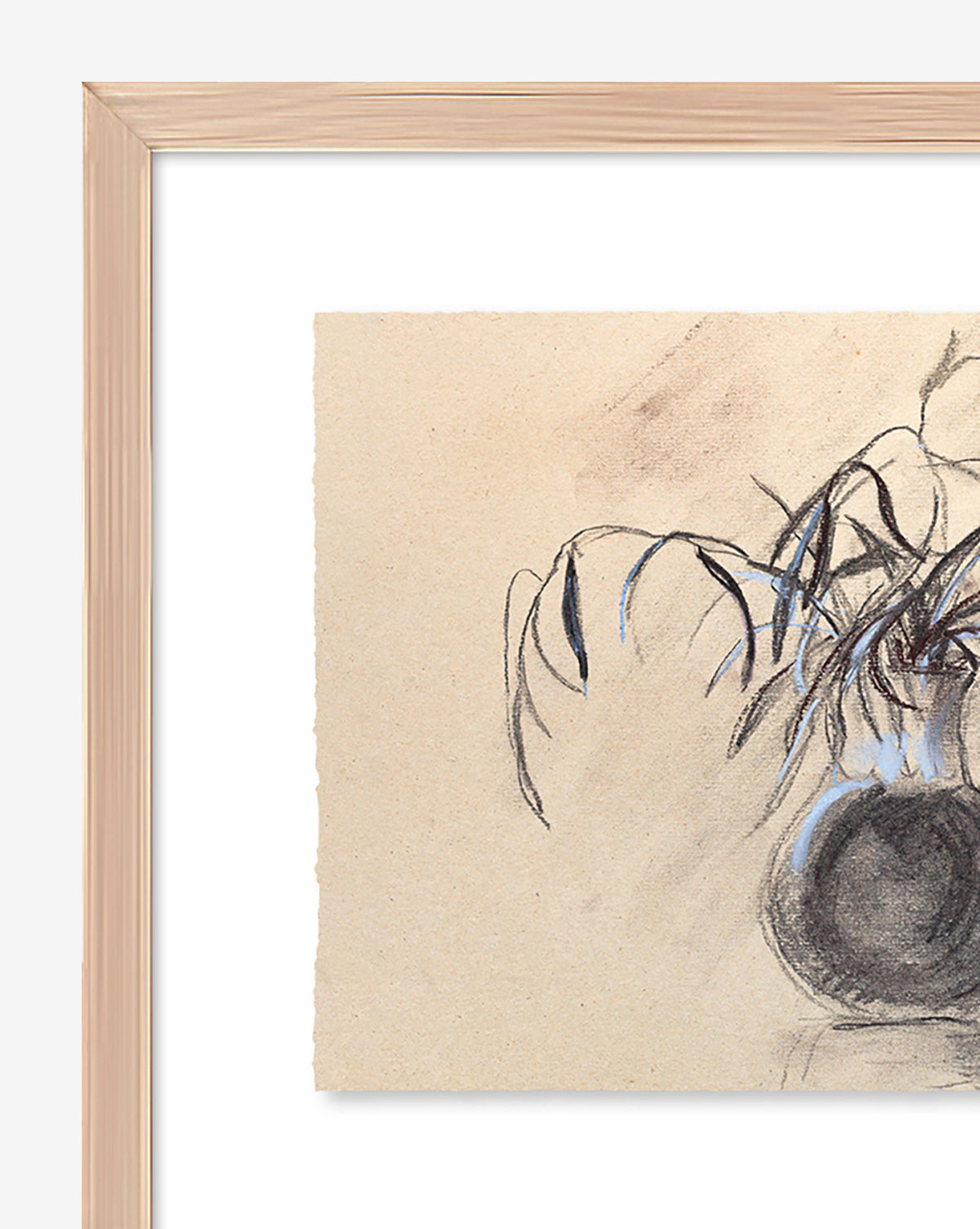 A close-up of Willow Branches, a fine art print featuring a botanical still life sketch of a round vase with long, curved willow branches on textured beige paper. Only the right side of the vase and foliage is shown.