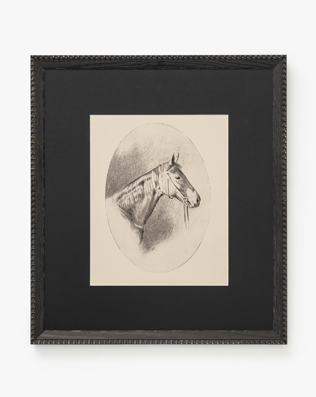 Winnie: A framed black-and-white horse portrait in profile, centered in a circular border on a light background with a wide matte and ornate black frame—an elegant wall art piece, by McGee & Co.