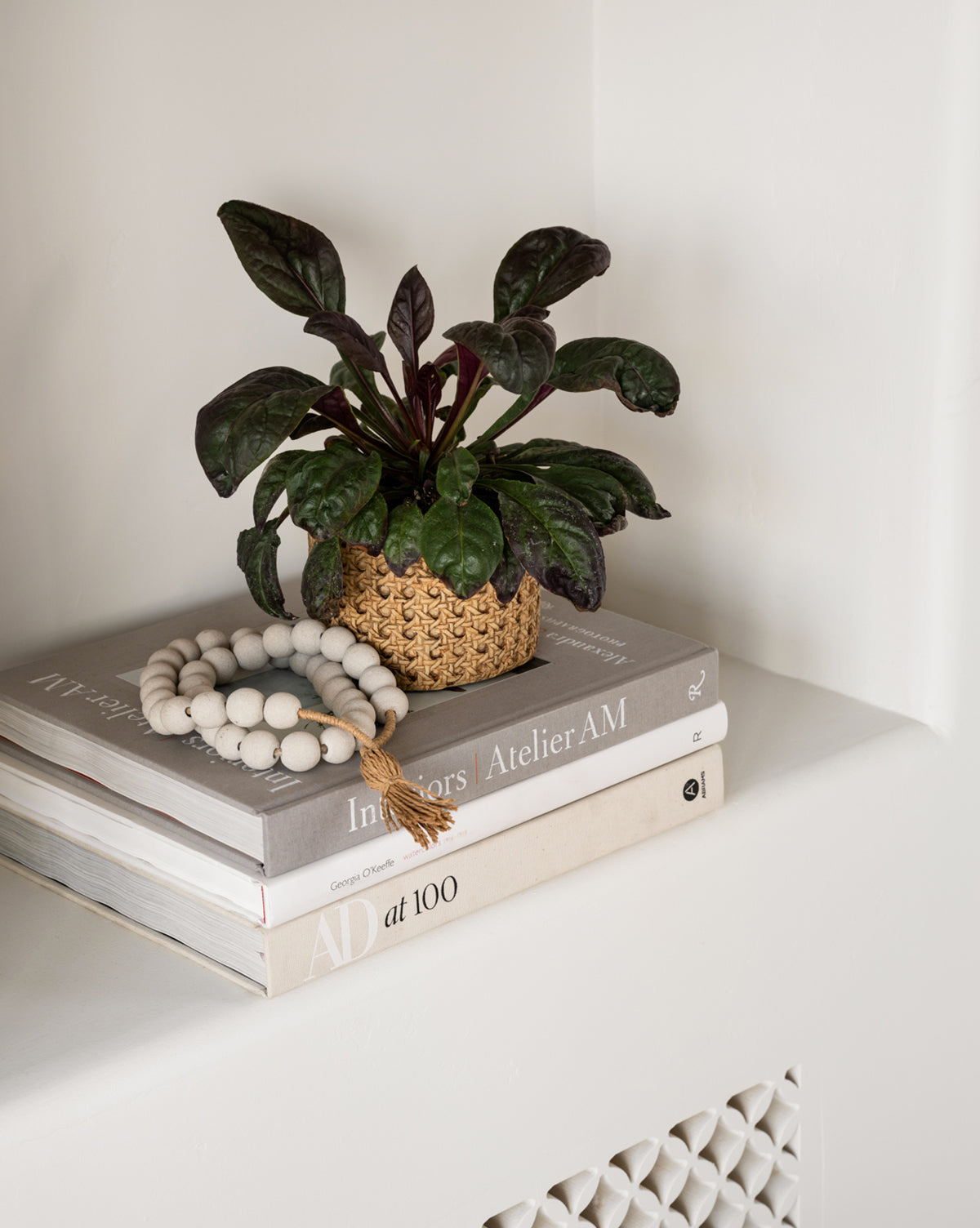 A potted plant with dark green leaves sits on a stack of three coffee table books, including Architectural Digest at 100, beside a beaded tassel garland, all arranged stylishly on a white shelf.