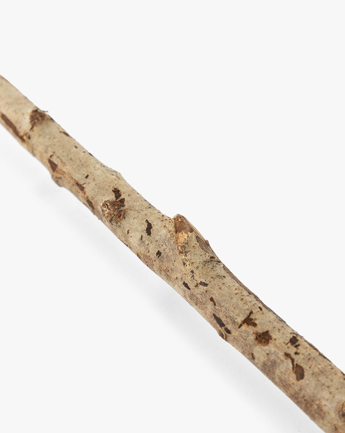 Witch's Broom (Set of 2)